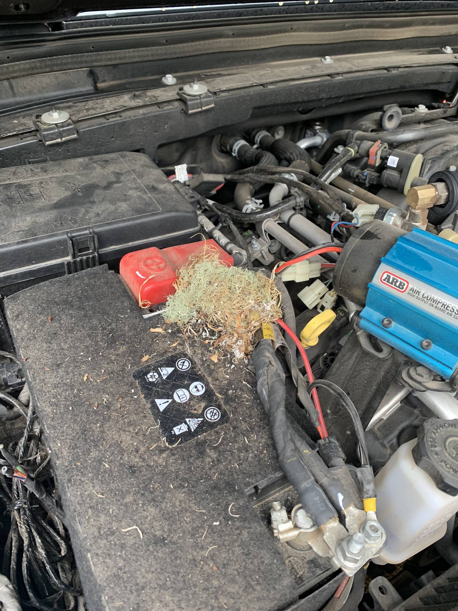 Jeep Wrangler JL Near Disaster in Backcountry 624F214C-9322-48F4-8986-3399E9015A0D