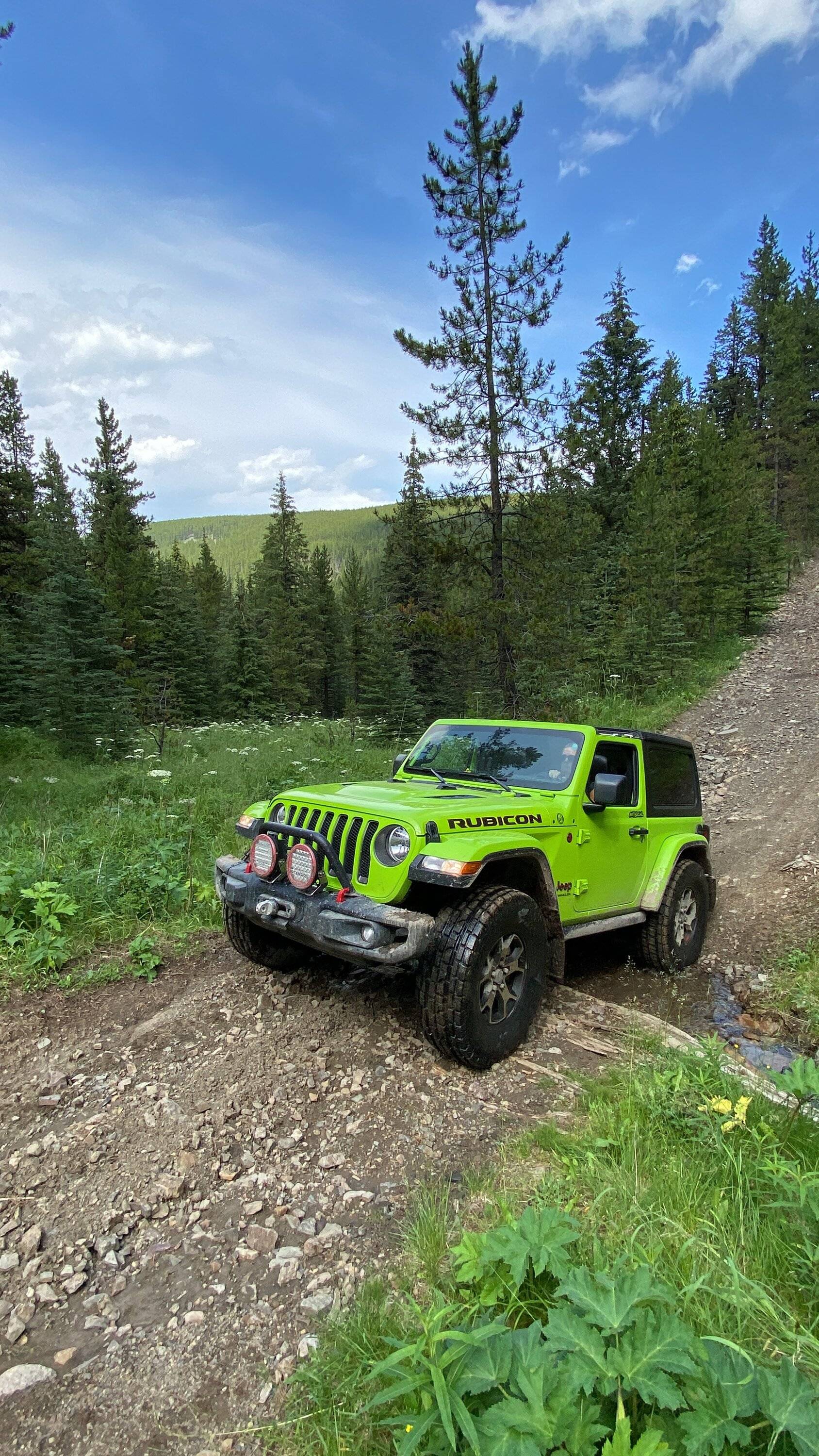 Jeep Wrangler JL Tire Sizes, Help! Please! F8C451F7-0443-49DA-845B-3B910A59B30D