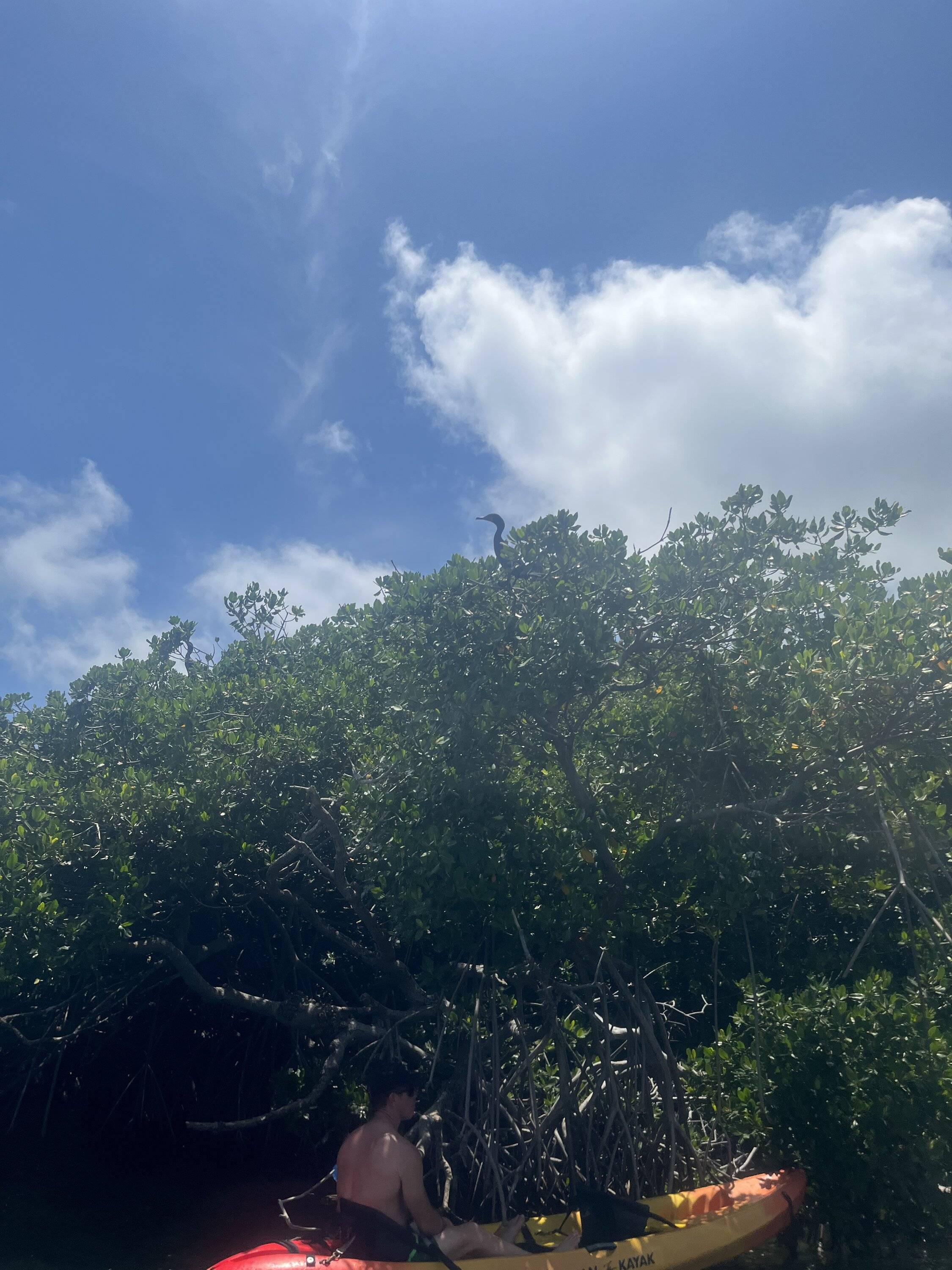 26D61340-05A6-4638-9BF6-F0174BB14C70.jpeg