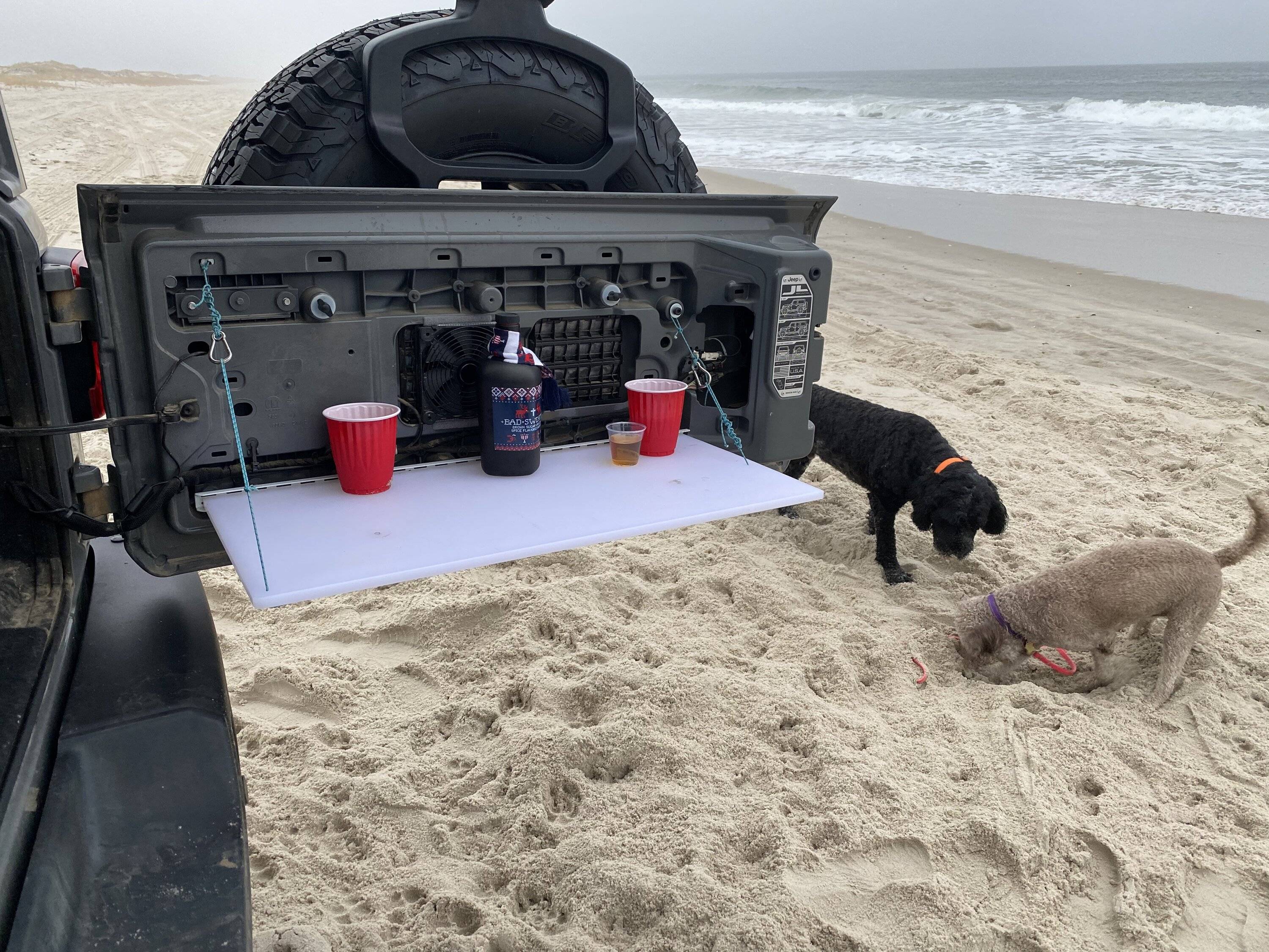 Jeep Wrangler JL Best JL Tailgate Table Recommendations 54731964-A238-4528-A76D-2C567C9229F3