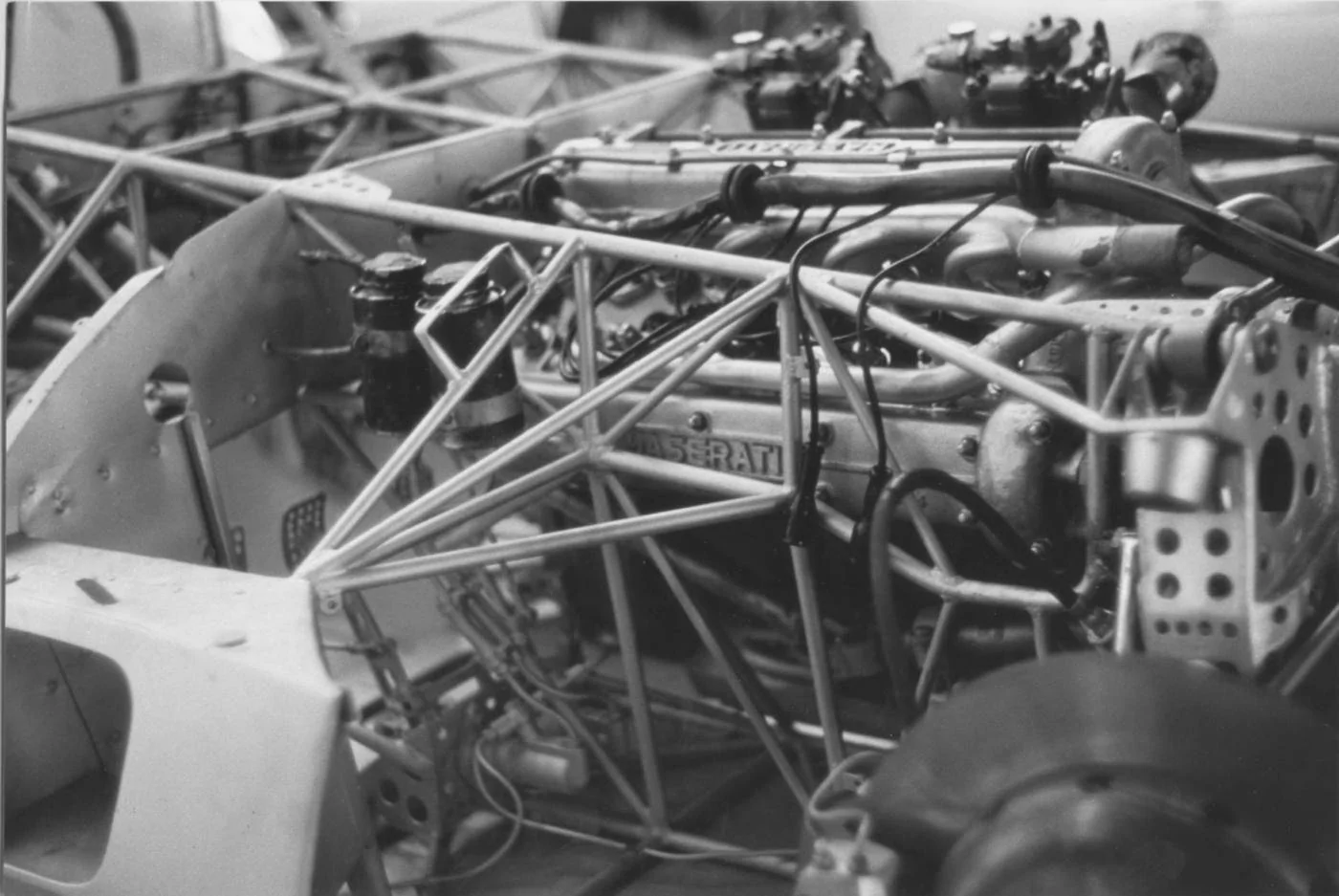 birdcage2.jpg