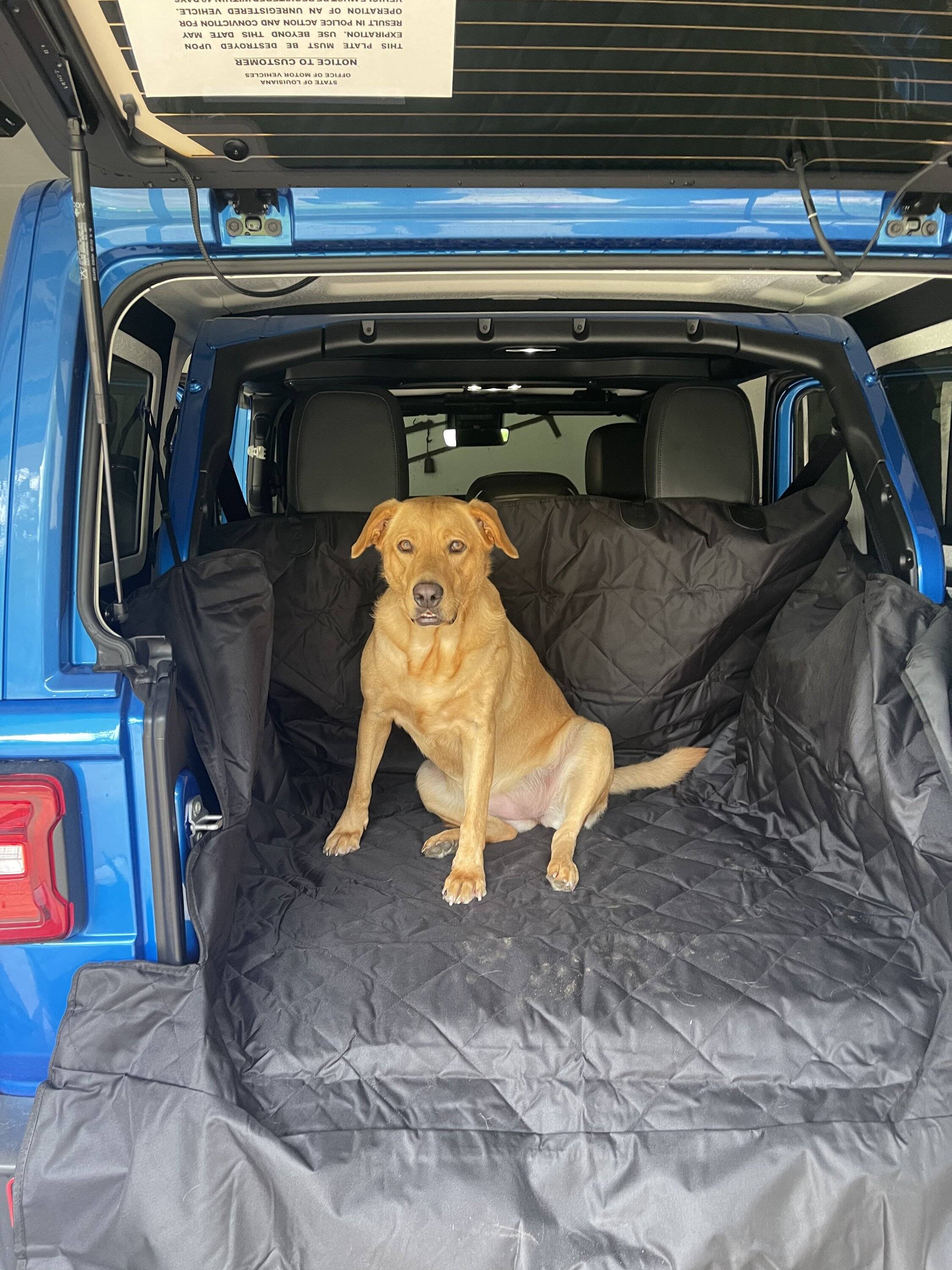 Jeep Wrangler JL Jeep Dog pics 9FEABBFF-CBF5-4786-AE57-9387CD30E922