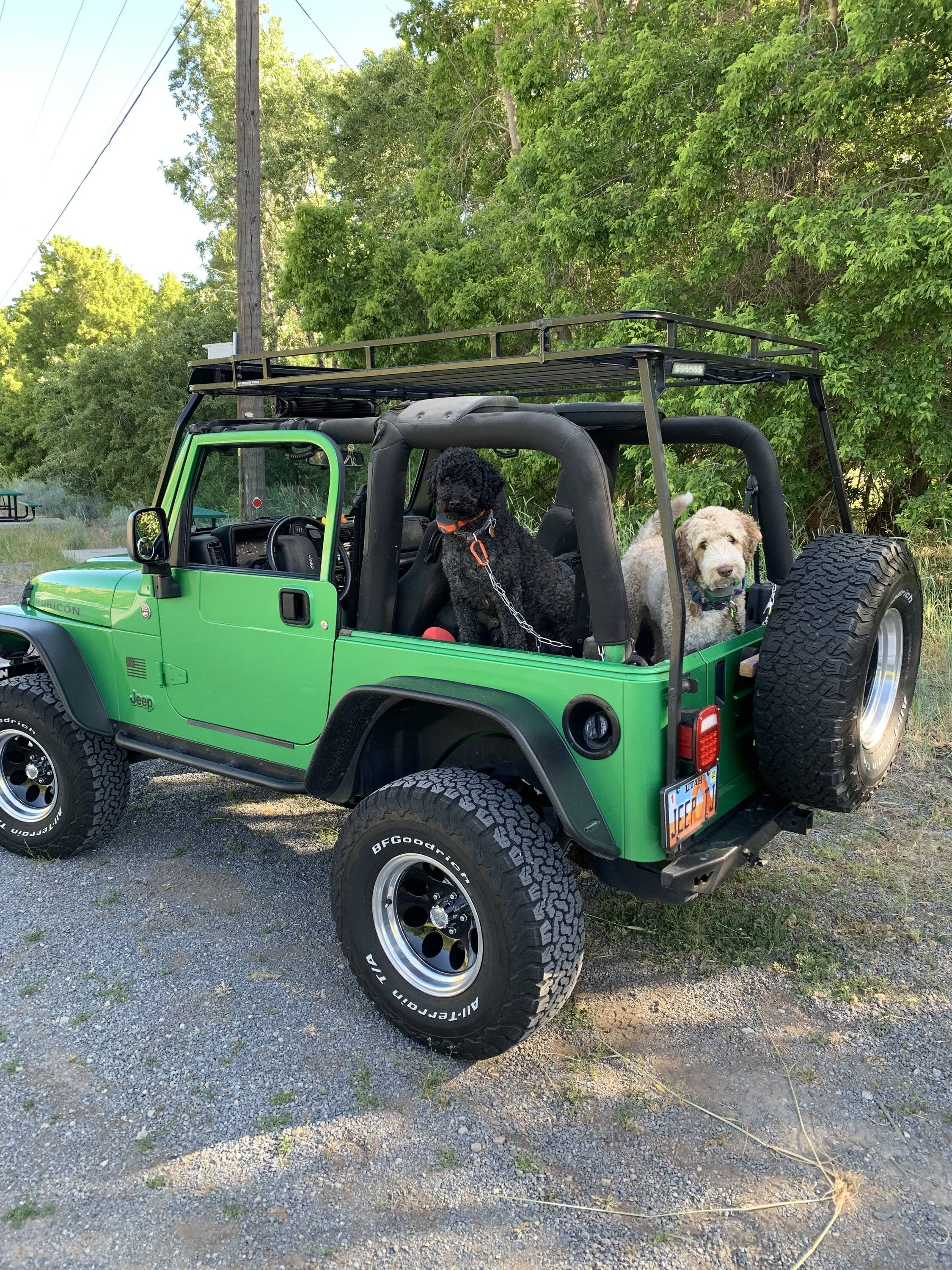 Jeep Wrangler JL Jeep Dog pics AA6FD4DE-B029-485C-A408-2BA4D4309BC1