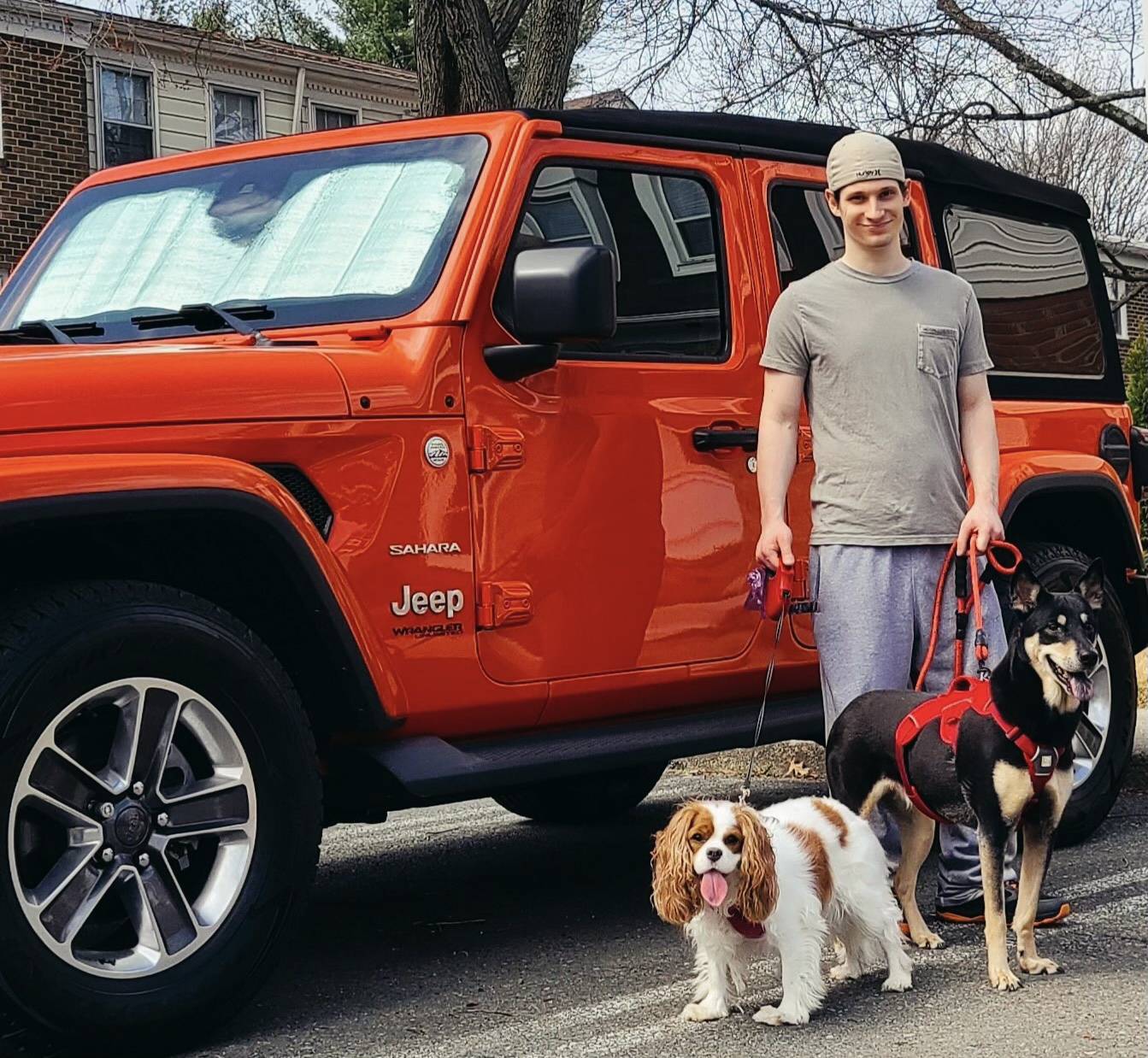 Jeep Wrangler JL Jeep Dog pics 8844D915-F1B3-43C8-A901-FE733679F1FB
