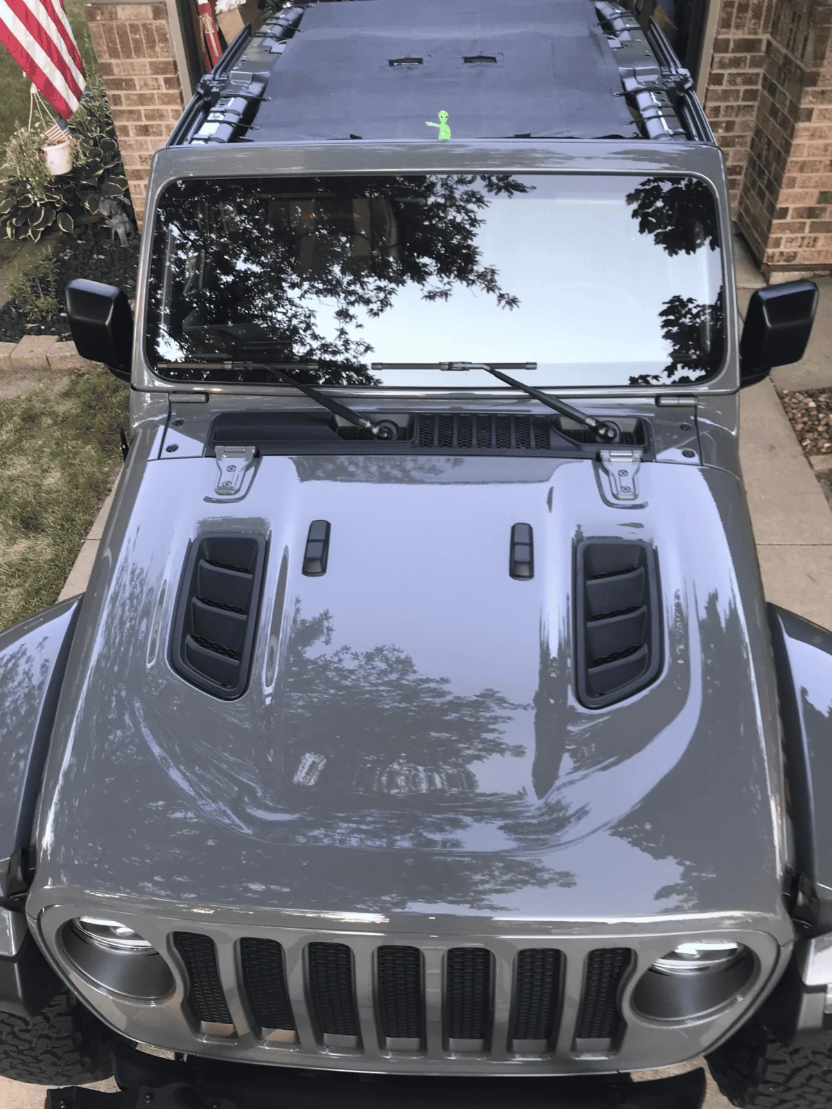 Sting-Gray Alienshade 3.webp