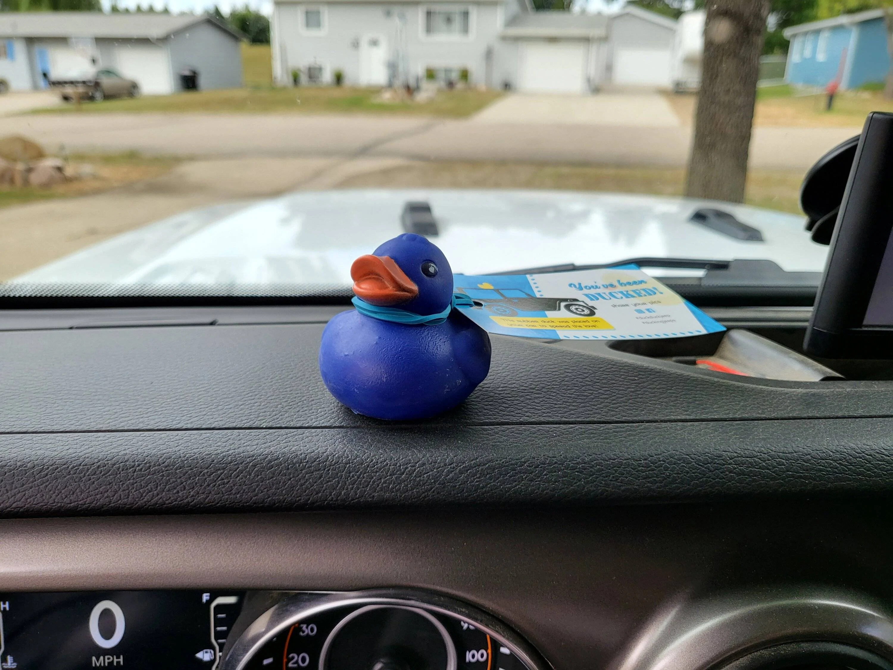 Jeep Wrangler JL Getting Ducked! 1Duck