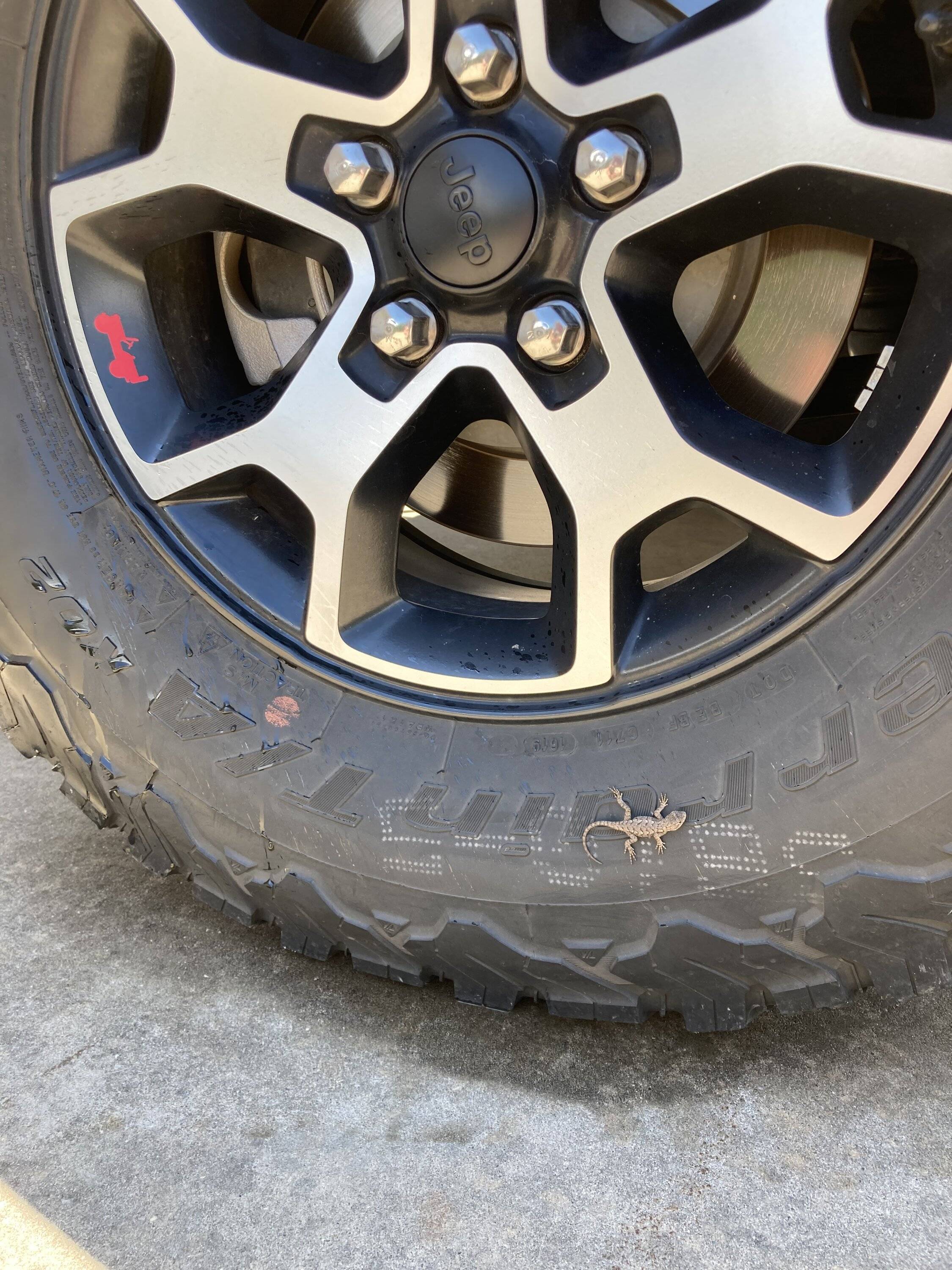 Jeep Wrangler JL Another Easter egg! 58D9D4F3-E25D-411A-940E-D7ADC00105BD