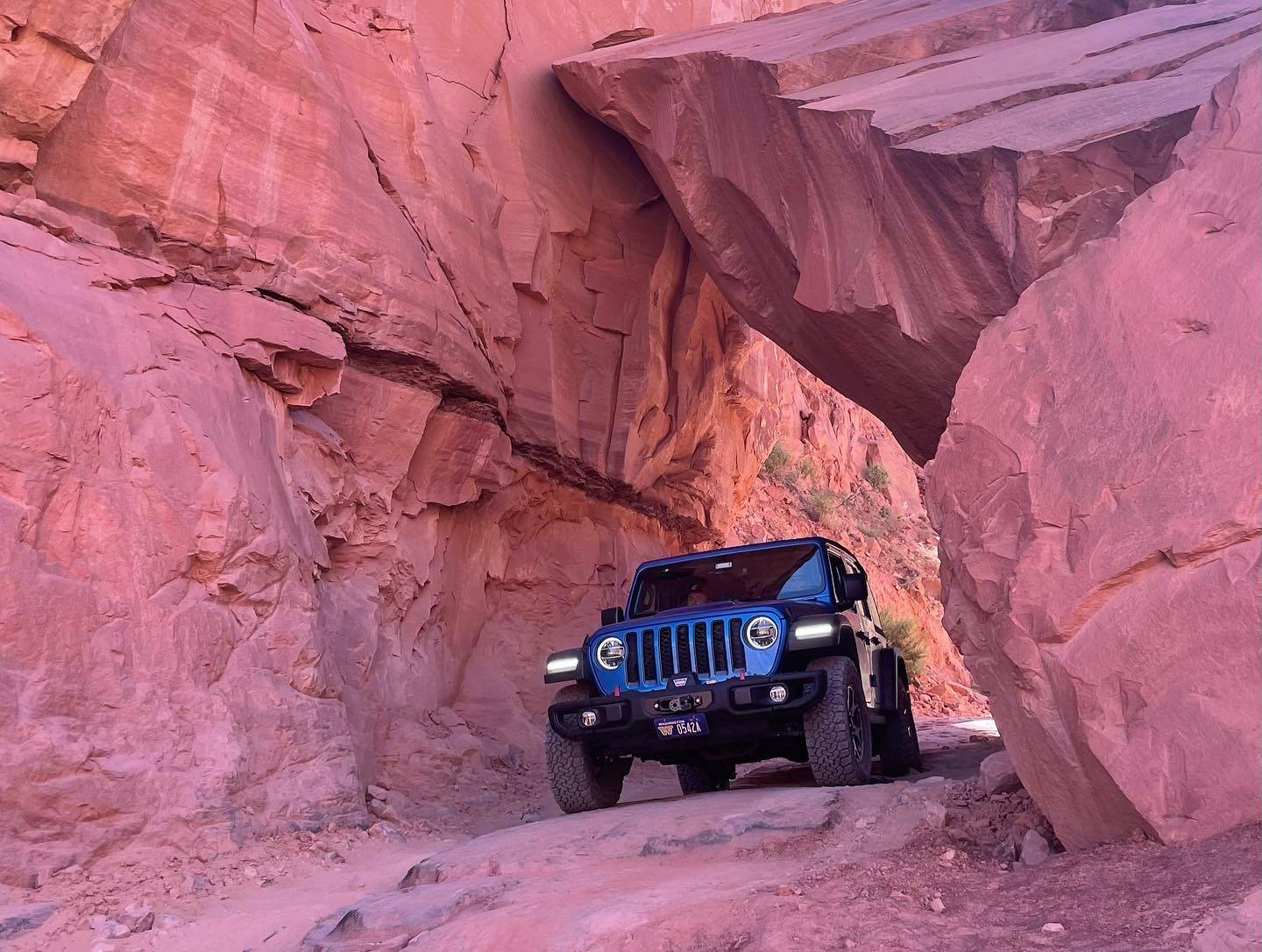 Jeep Wrangler JL Color Drama 59B1A7CE-C947-48F5-A553-B9BE9CC76E17