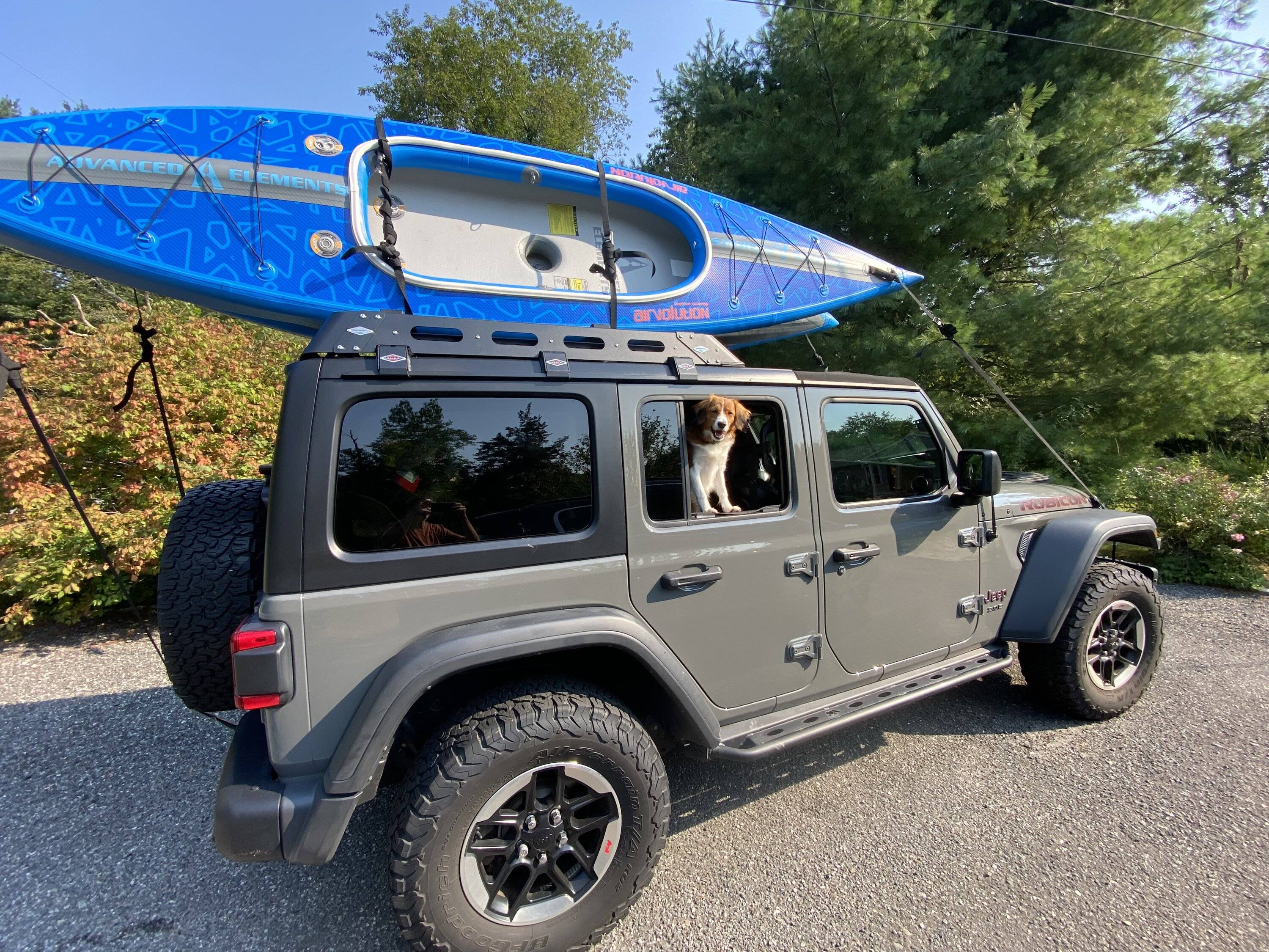 Jeep Wrangler JL Jeep Dog pics IMG_3519