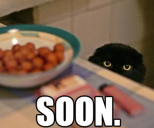 Jeep Wrangler JL 2023 Orders - Check in here cat+meme+-+soon