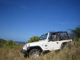 Jeep Wrangler JL Introductions & Welcome Thread 👋 92A0361A-A2E7-43E4-A1BD-08B56D746A76