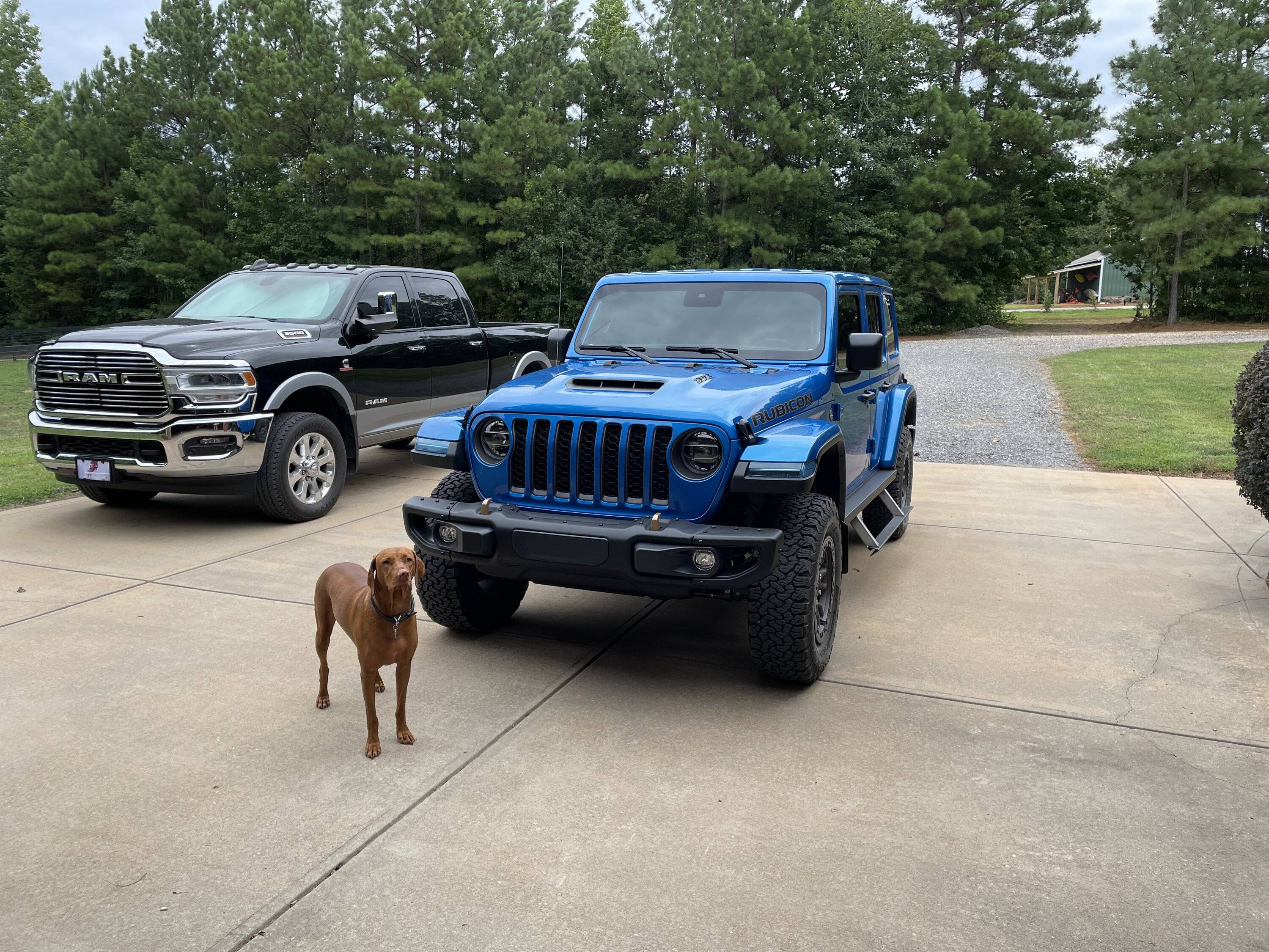 Jeep Wrangler JL Looking for side steps/rock sliders. Lets see them IMG_1486.JPG
