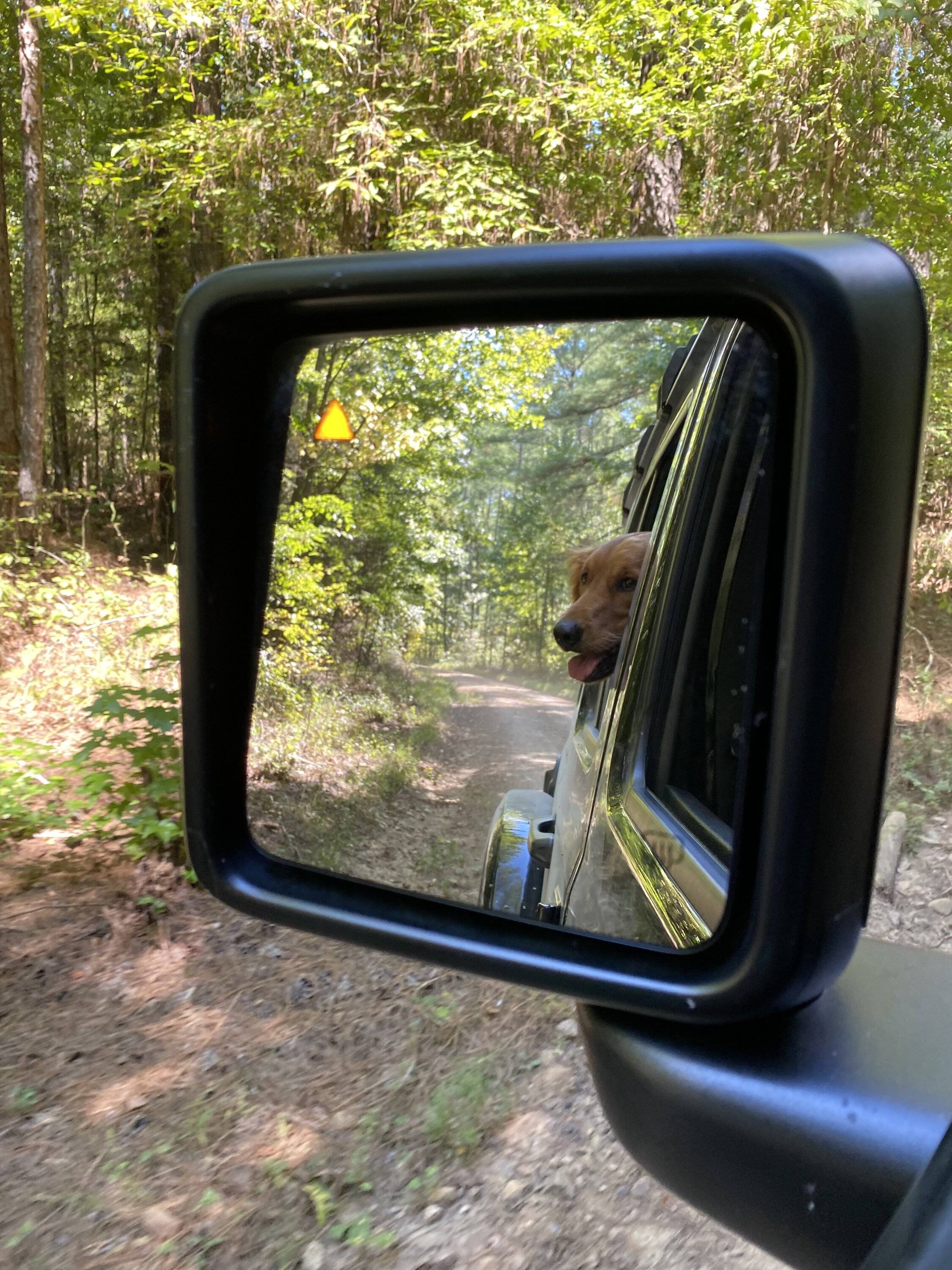 Jeep Wrangler JL Jeep Dog pics E7DAE07E-129C-473F-B1FD-3F9B6F5B7EDC