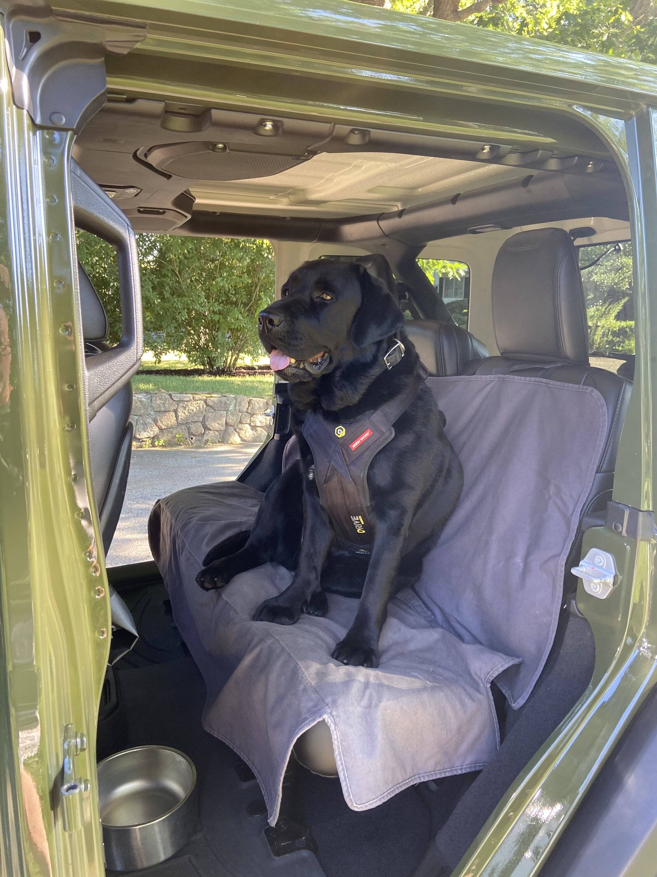 Jeep Wrangler JL Jeep Dog pics 83127D51-637F-4896-B658-12C7A2484C85