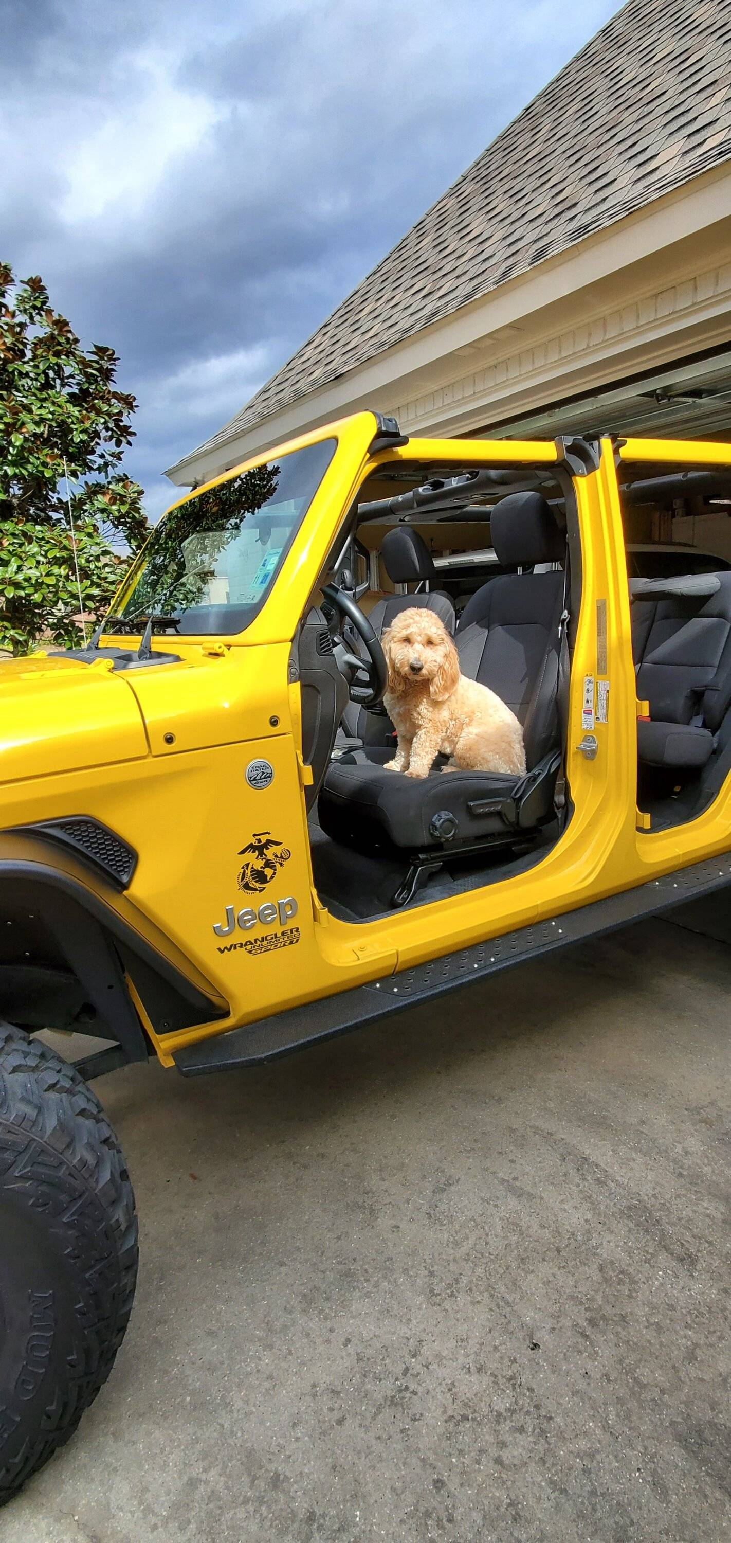 Jeep Wrangler JL Jeep Dog pics 20210204_112126
