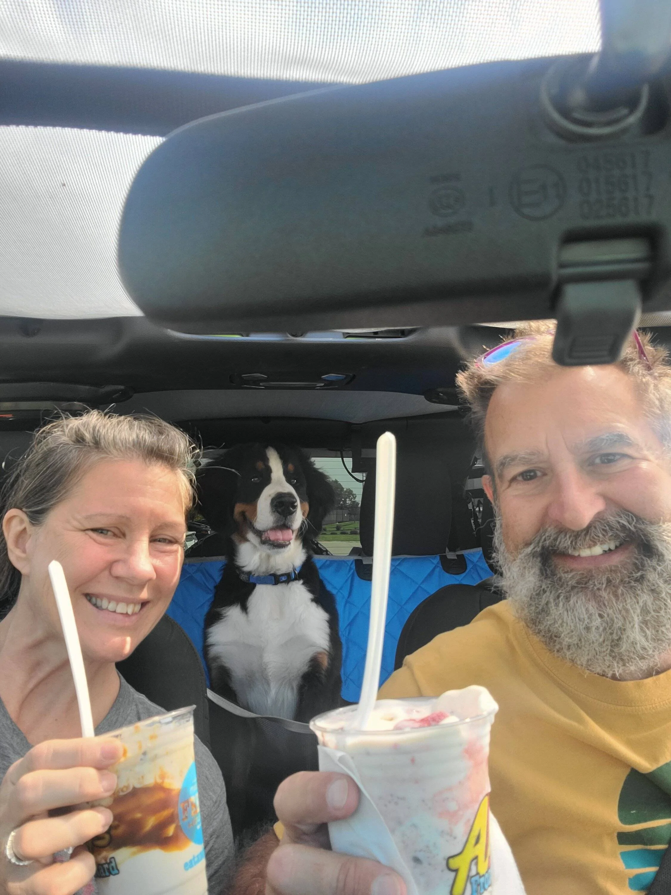 Jeep Wrangler JL Jeep Dog pics 20220911_154334