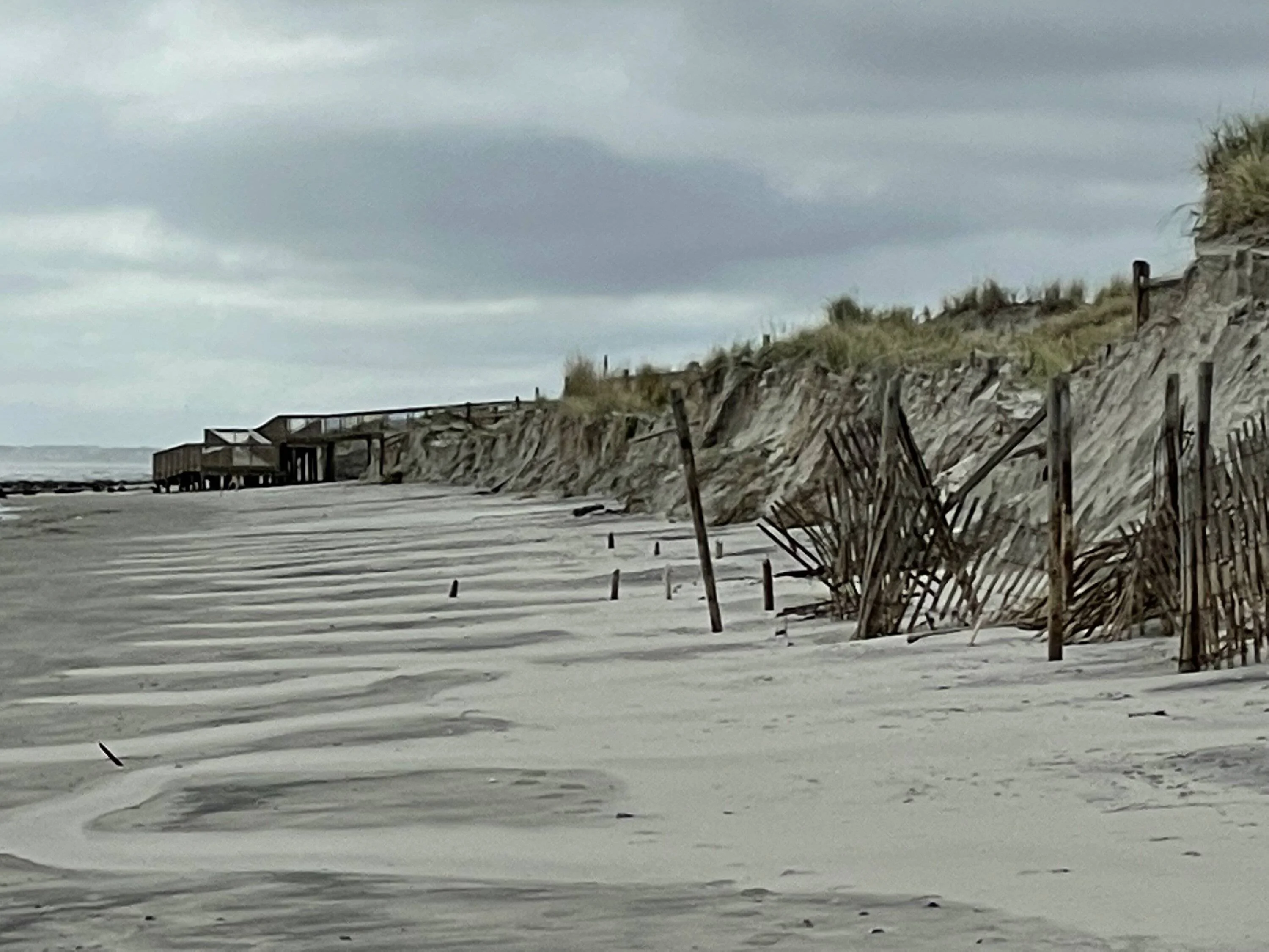 Jeep Wrangler JL Jeeps on the Beach... Post Em Up! E67D8F68-D092-4CAC-8E32-4043AA24159A