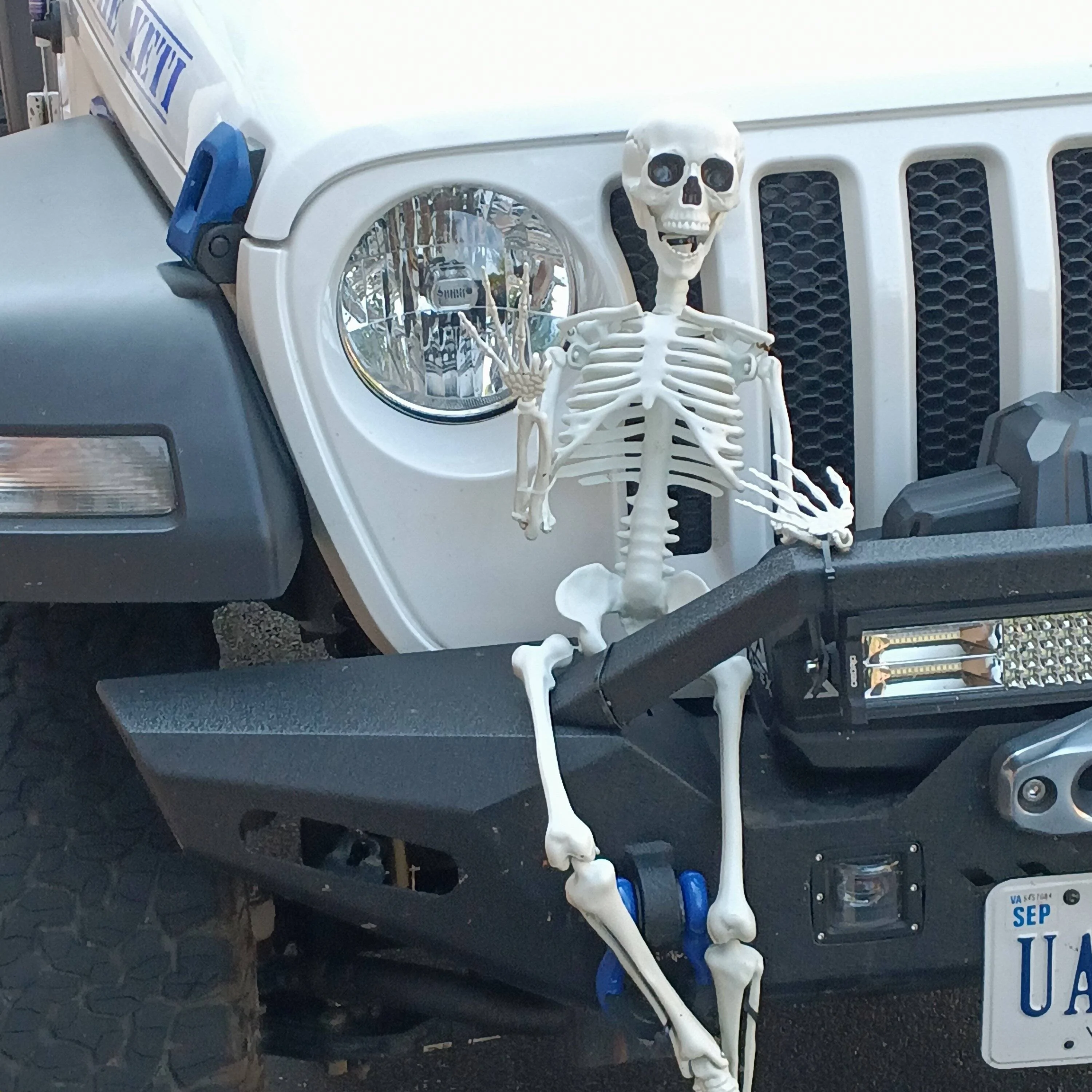 Jeep Wrangler JL 2022 Halloween Jeep Thread ? ?? IMG_20220919_114015