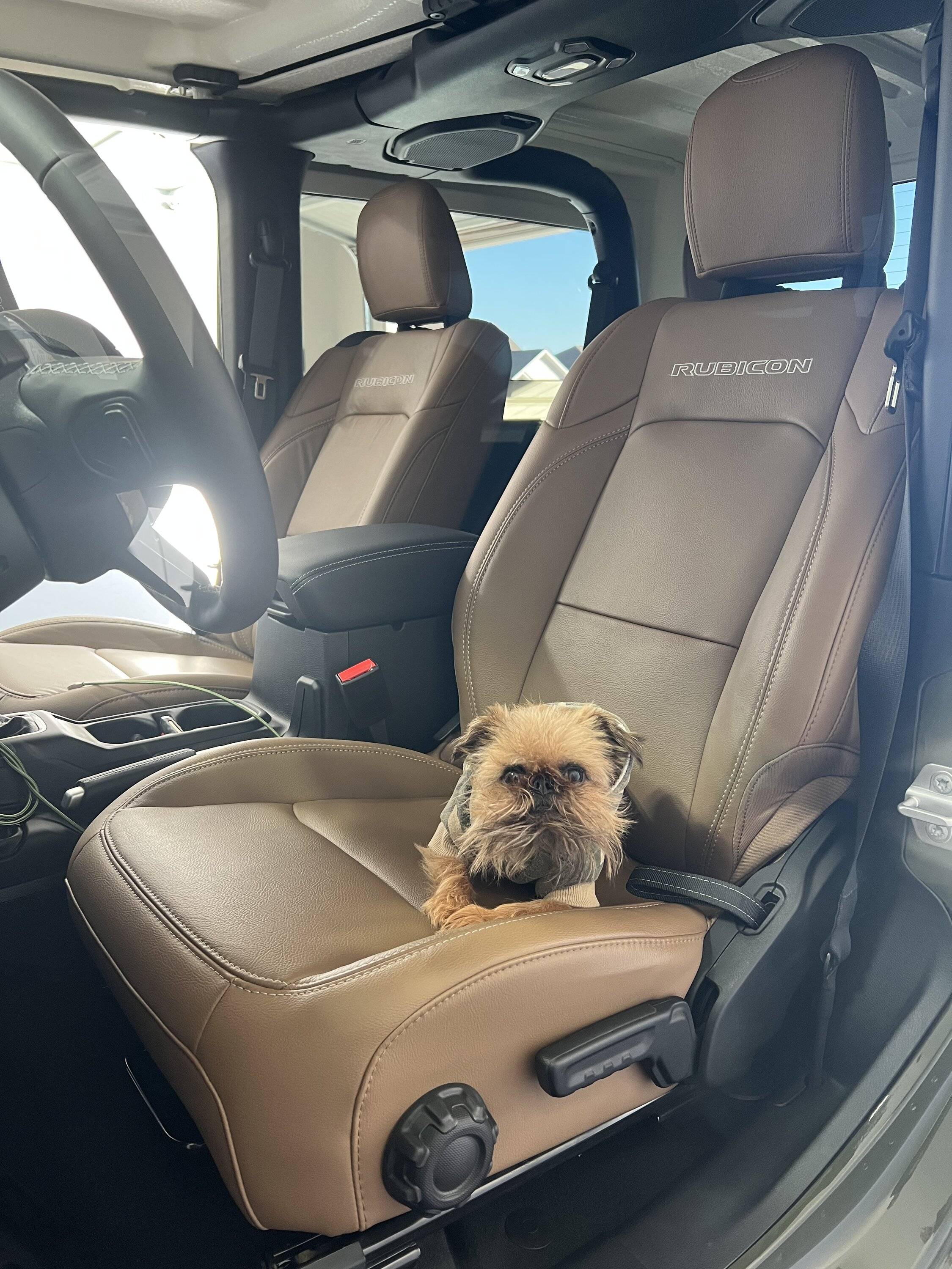 Jeep Wrangler JL Jeep Dog pics 7ED9DCF5-656B-4B98-86EA-51419B68F8DF