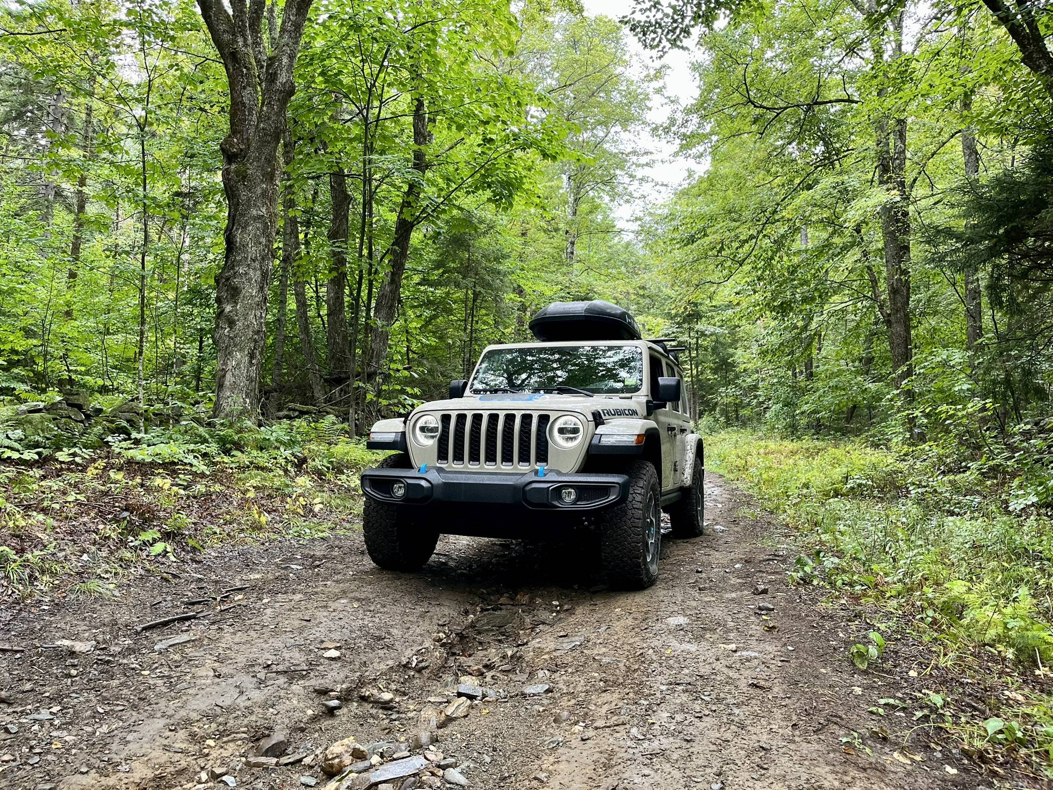 Jeep Wrangler JL 4xe off-roading shots -- post yours! E394EF19-AC0A-402D-AF7D-F4D0DDA1A1A1