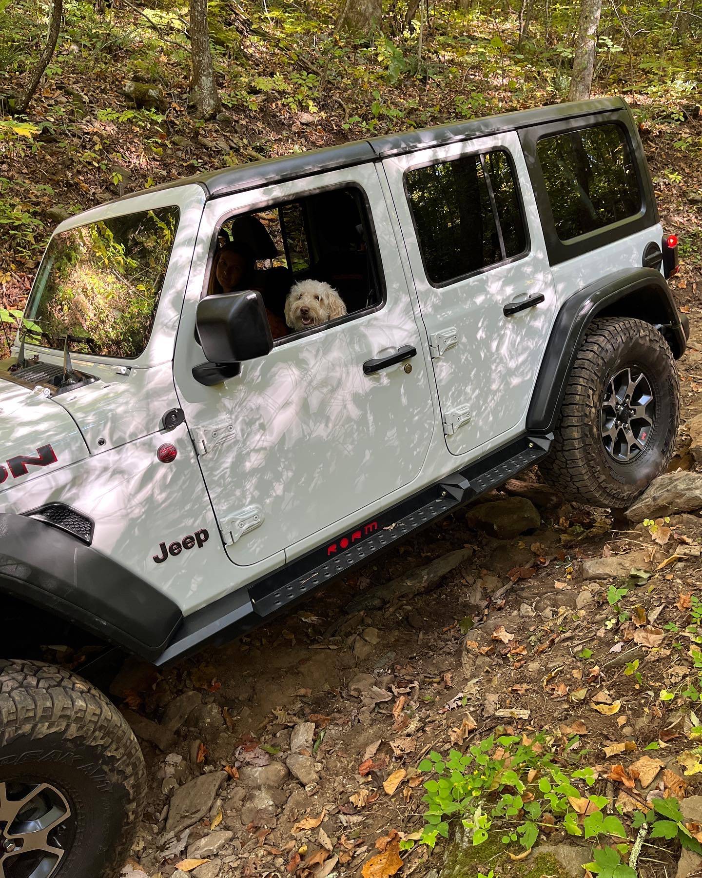 Jeep Wrangler JL Jeep Dog pics D3AE4F5E-B1C8-4B7D-B833-0542C4143DB7