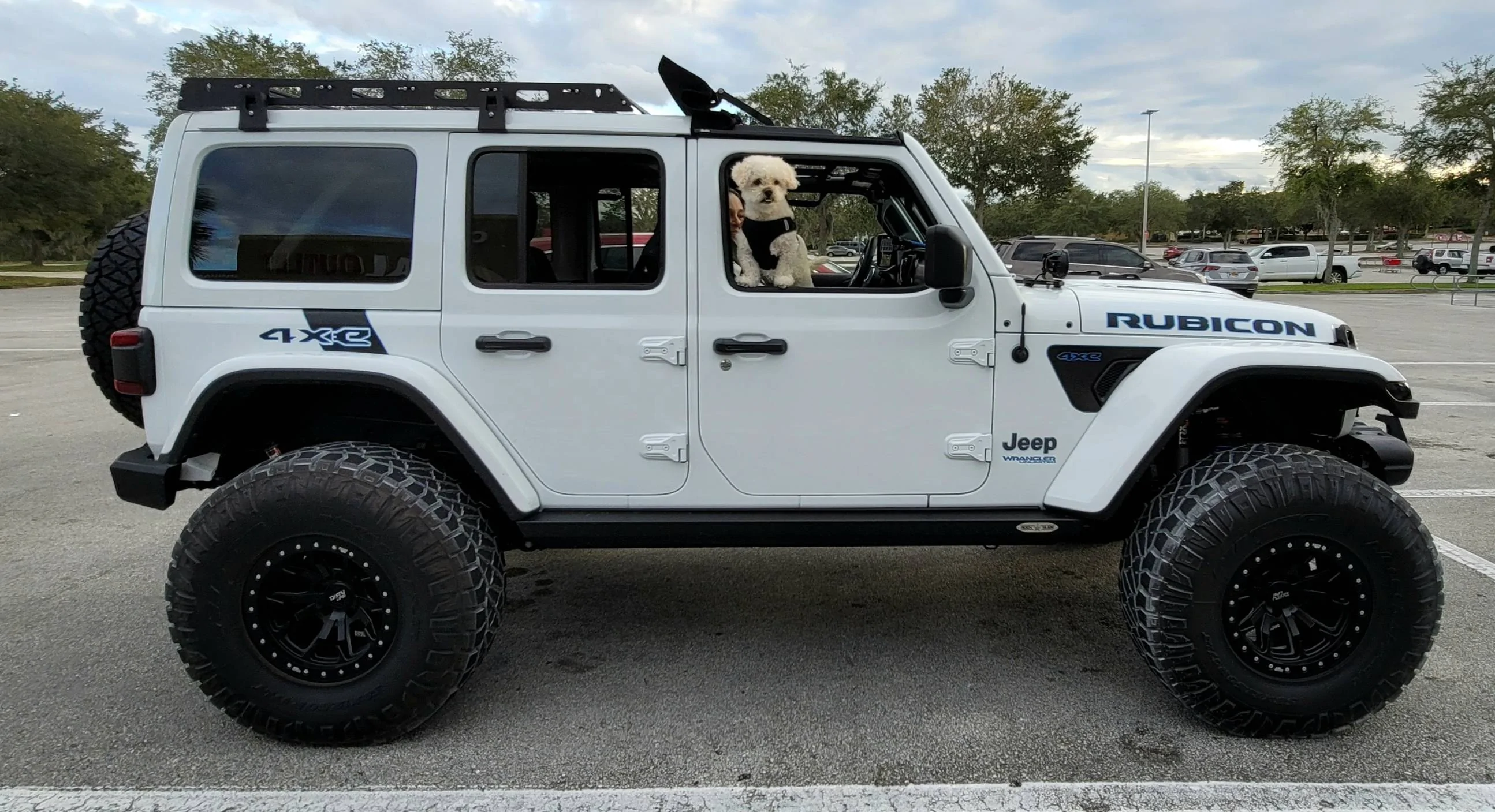 Jeep Wrangler JL Jeep Dog pics SmartSelect_20221015_231615_Gallery