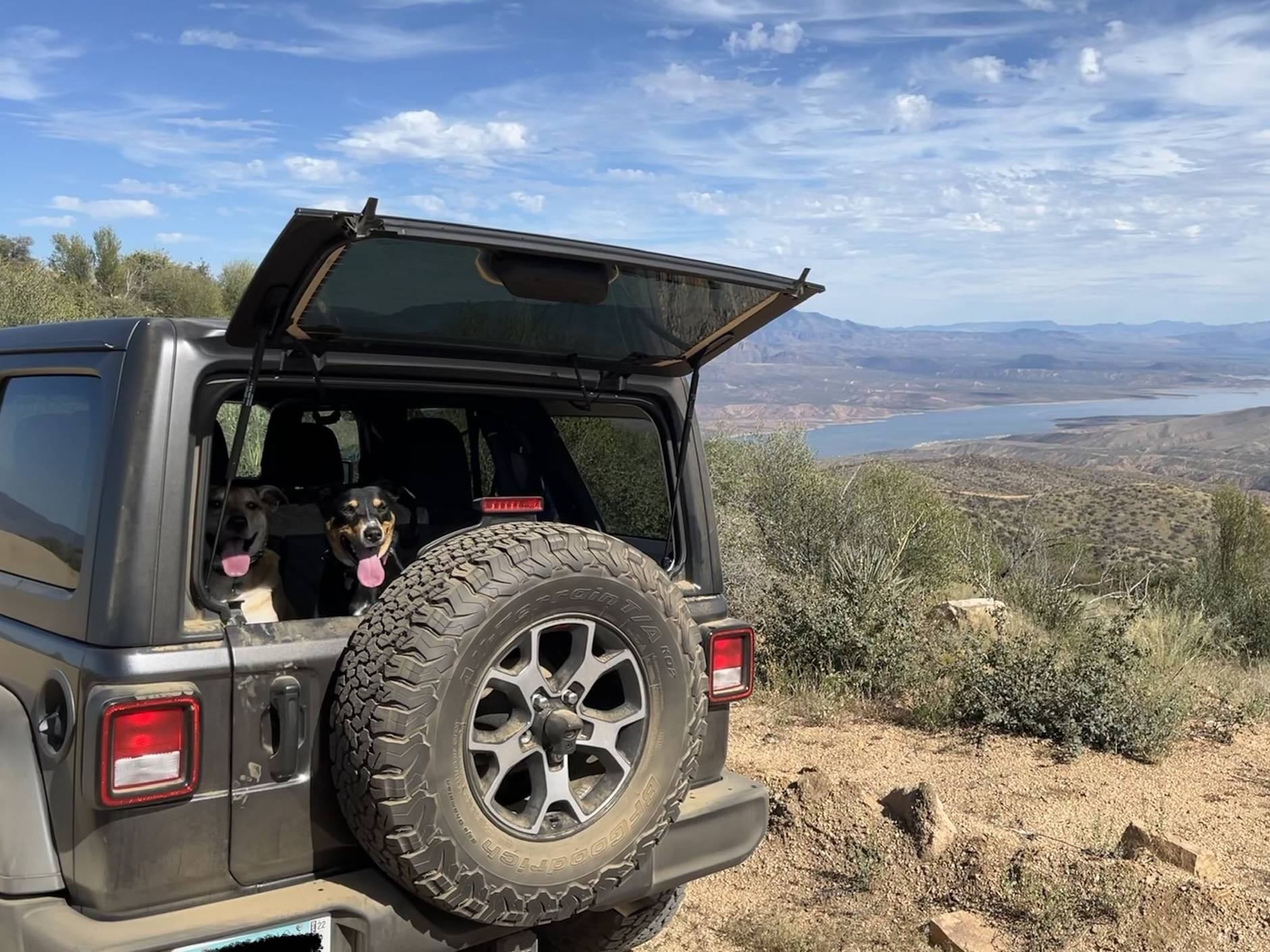 Jeep Wrangler JL Jeep Dog pics EF5A0E79-8B23-42F5-B2D3-81F9E5179BD4