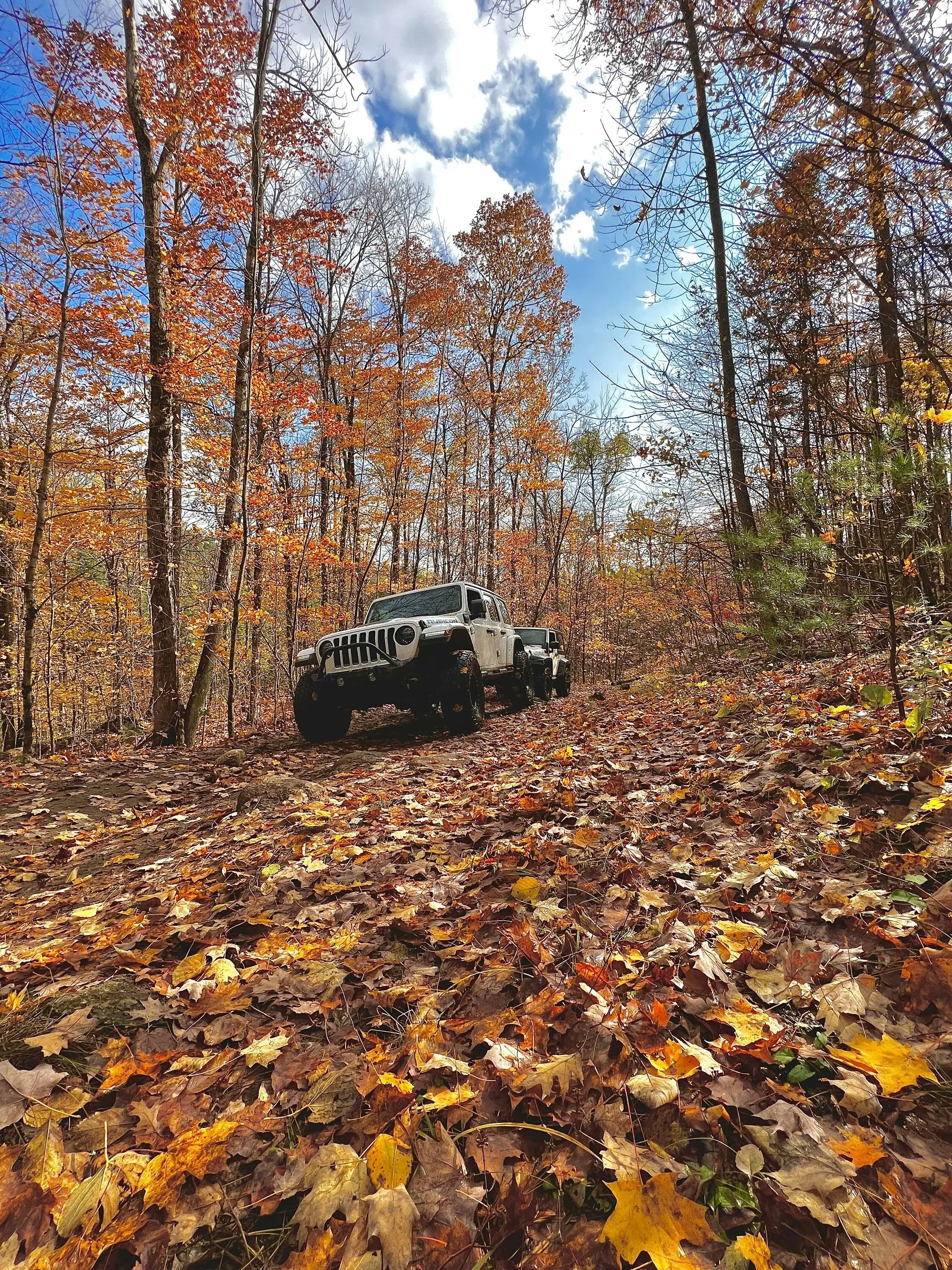 Jeep Wrangler JL 4xe off-roading shots -- post yours! 2FDD28FE-A756-4C75-B270-03E4BD8FBF7A