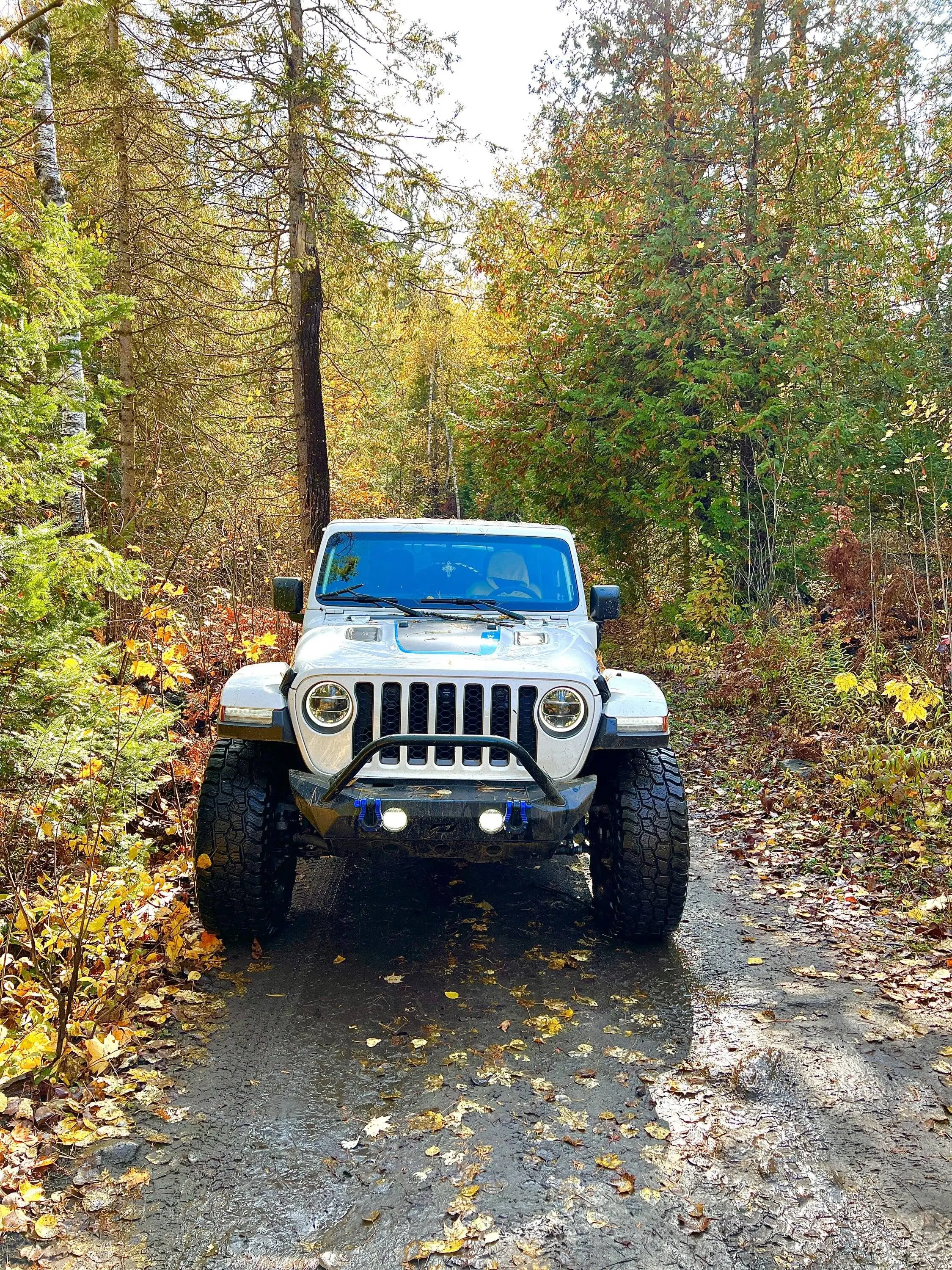 Jeep Wrangler JL 4xe off-roading shots -- post yours! E07A3A08-7813-4594-BF84-E1001BAE1B9F