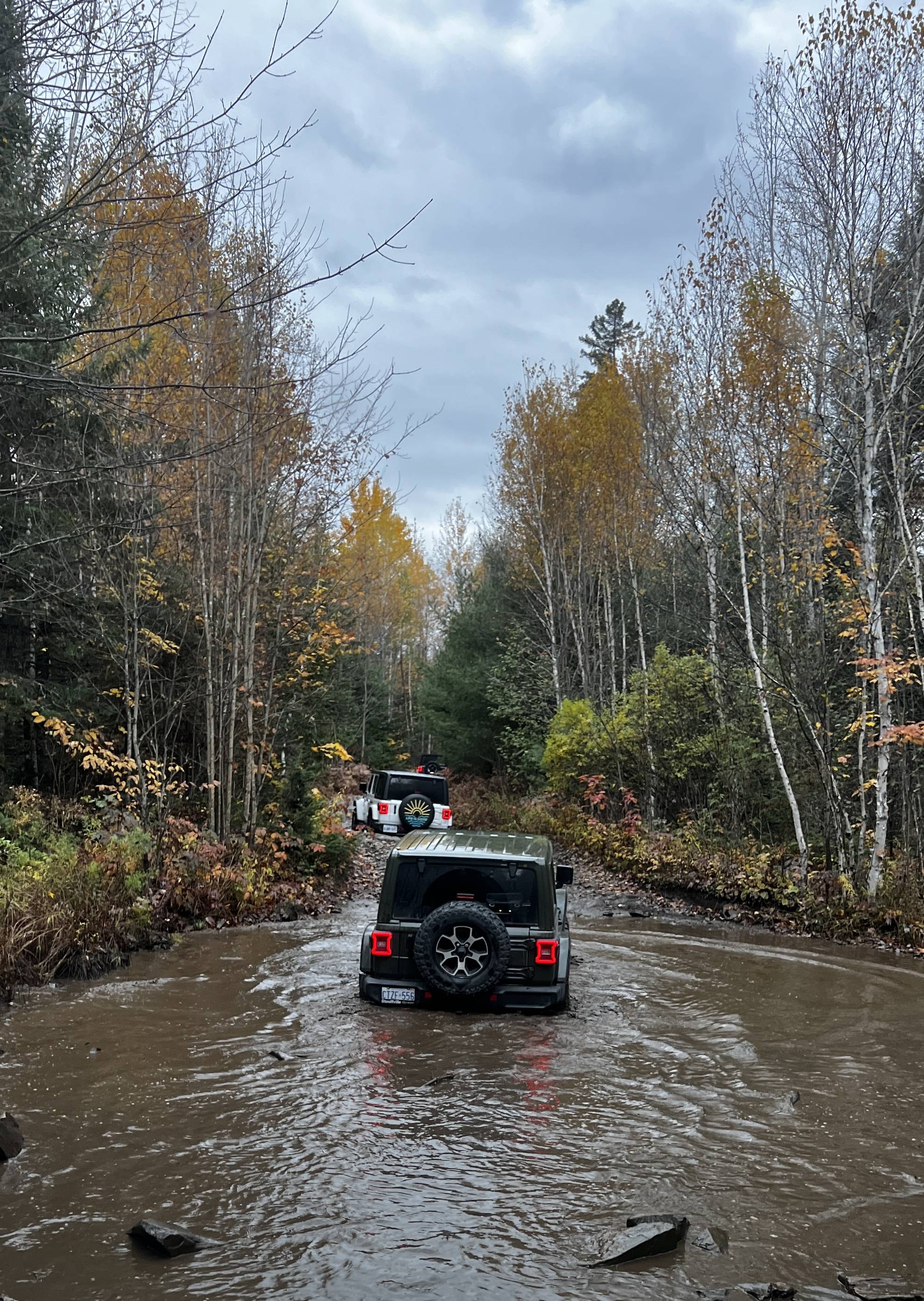 Jeep Wrangler JL 4xe off-roading shots -- post yours! 788DAFB1-10FE-419C-8DF5-1CD18204B72D