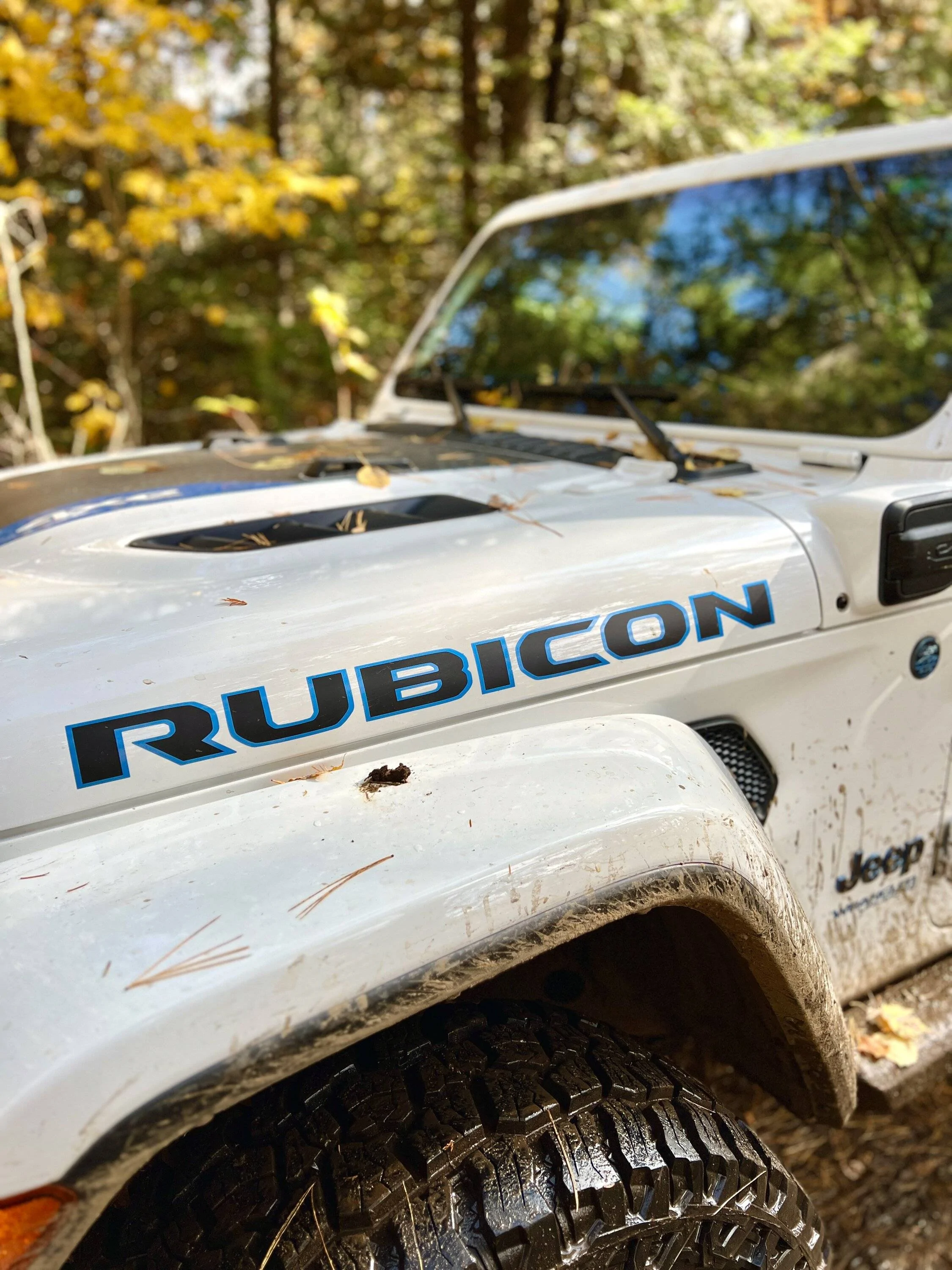 Jeep Wrangler JL 4xe off-roading shots -- post yours! D09BF352-68DC-41CC-A0DA-3C16833A49E2