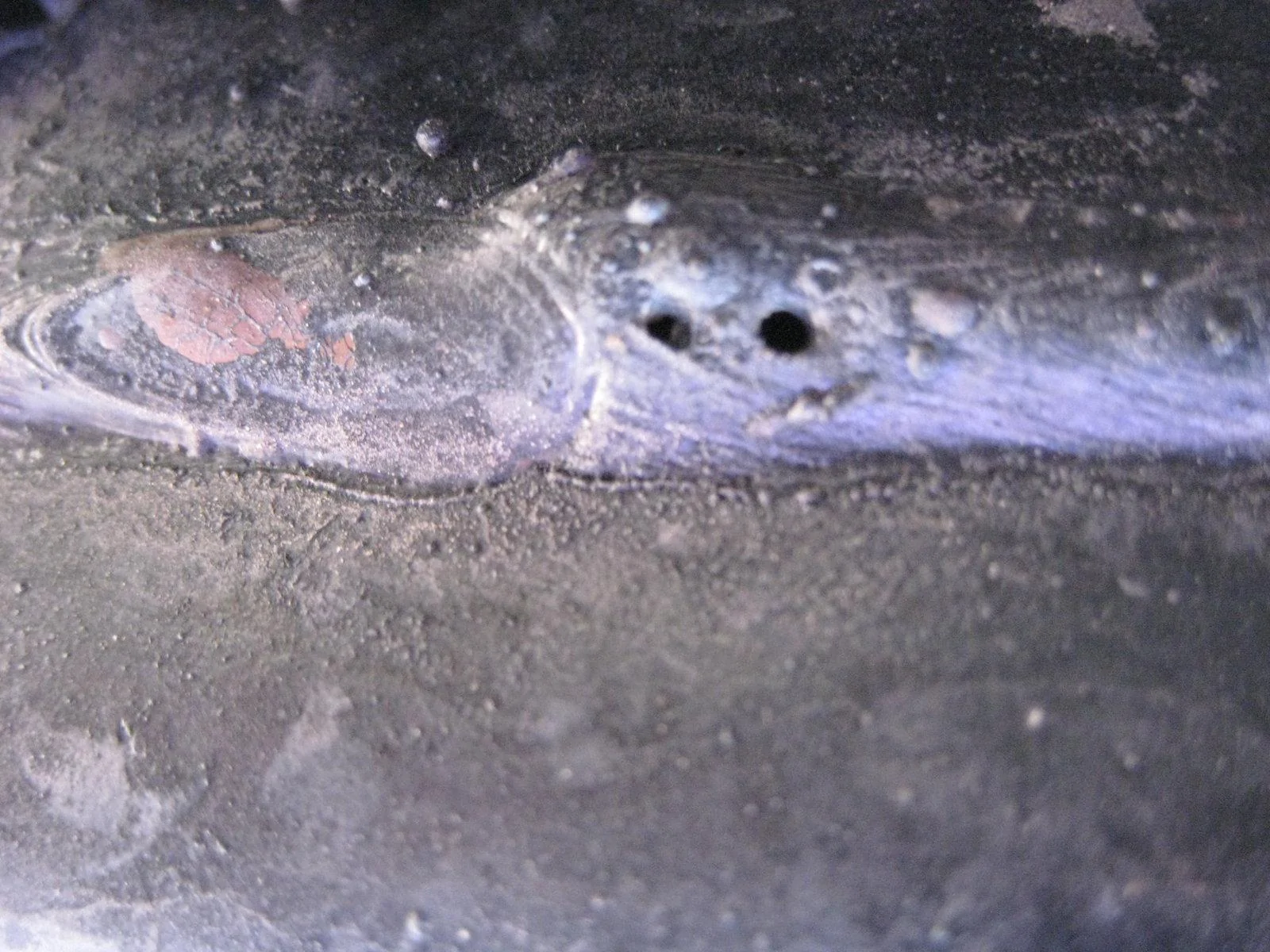 Jeep Wrangler JL JL welding Issues IMG_0486