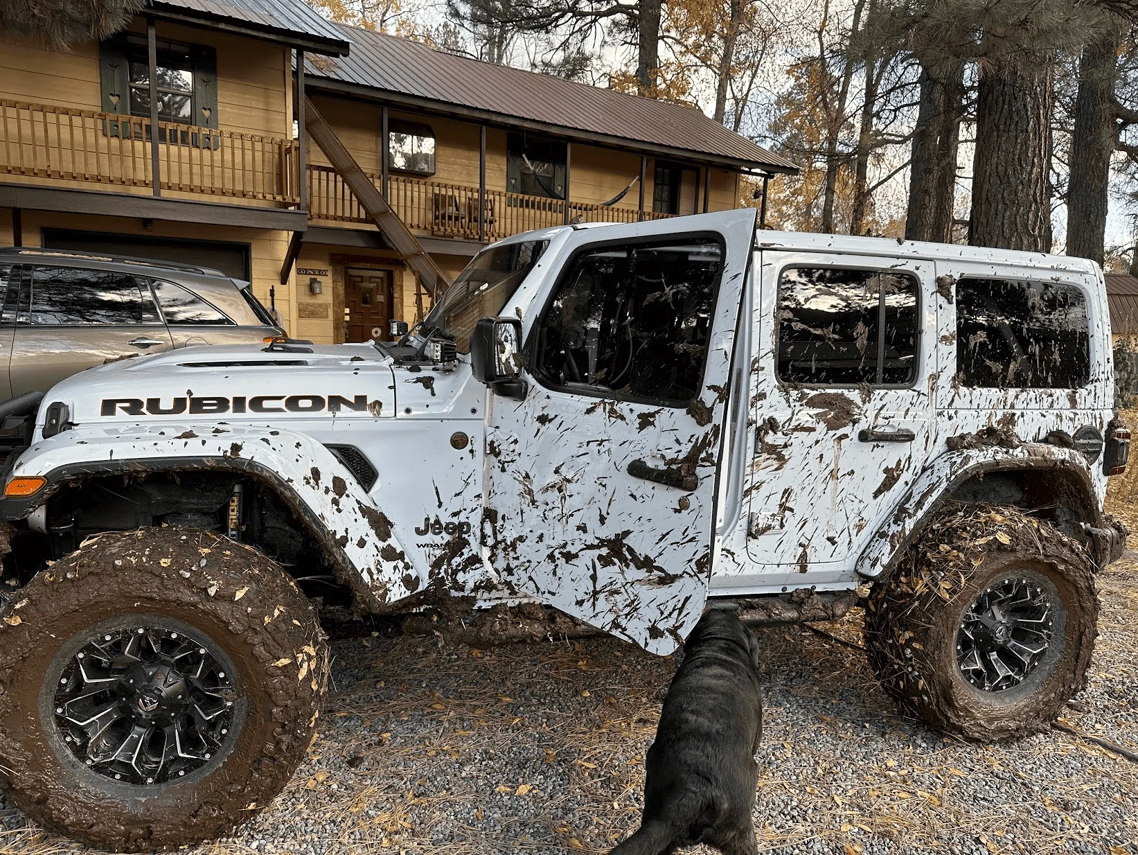 Jeep Wrangler JL Jeep is too clean Screen Shot 2022-10-24 at 7.55.19 AM