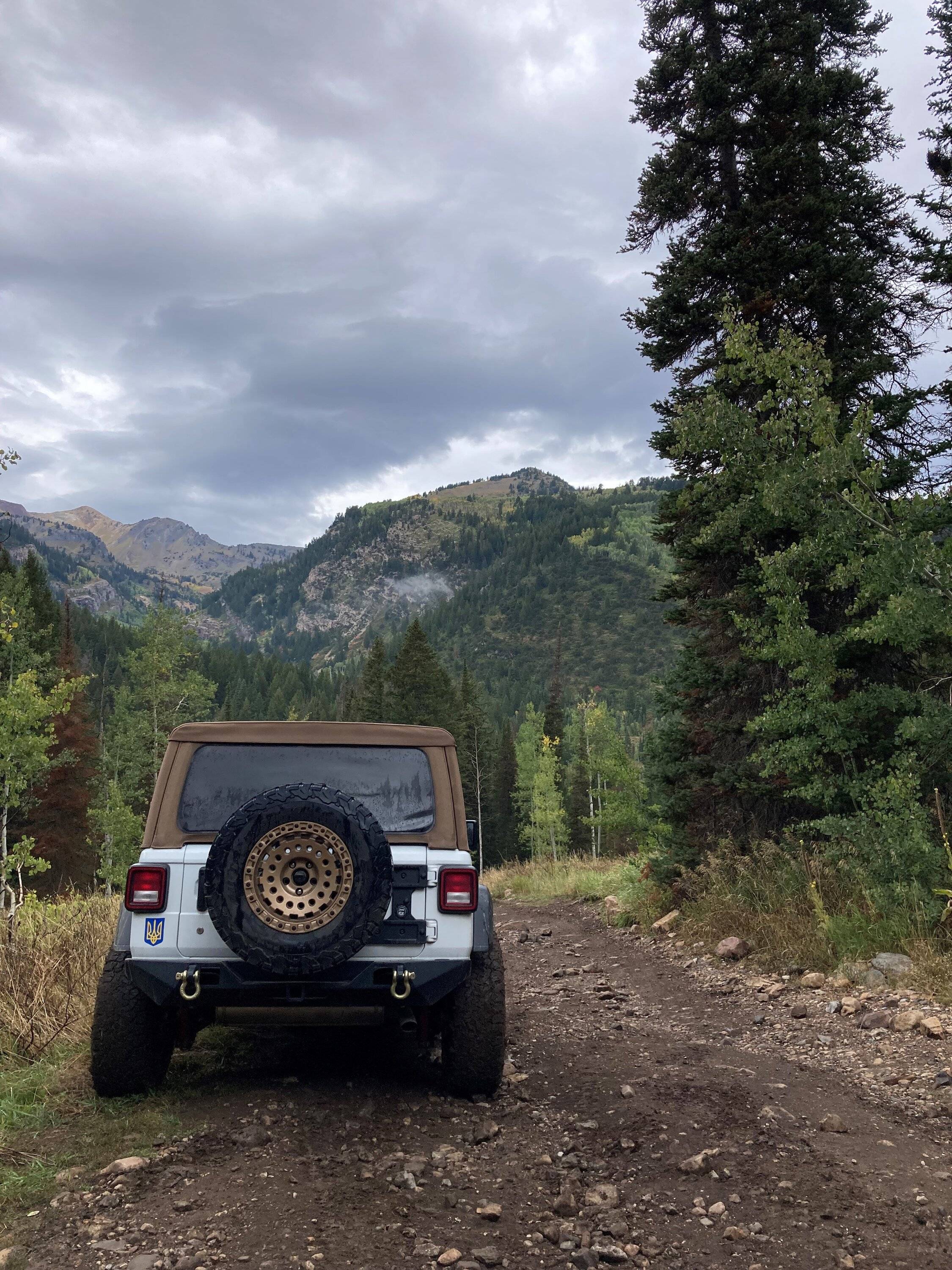 Jeep Wrangler JL bronze wheel options forestlake 
