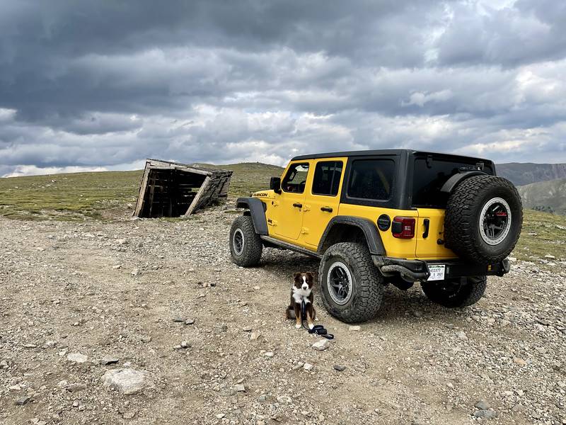 Jeep Wrangler JL Jeep Dog pics i-qxWT4rv-L