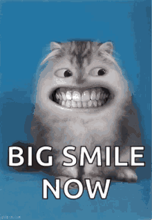 Jeep Wrangler JL Smiles per gallon 1667306664796
