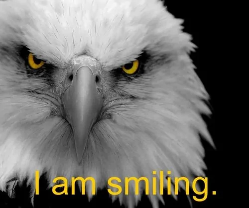Jeep Wrangler JL Smiles per gallon Eagl