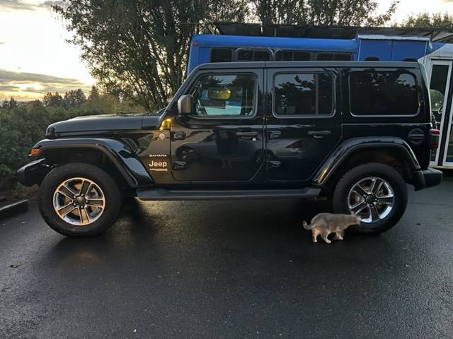 Jeep Wrangler JL Introductions & Welcome Thread 👋 IMG_1020