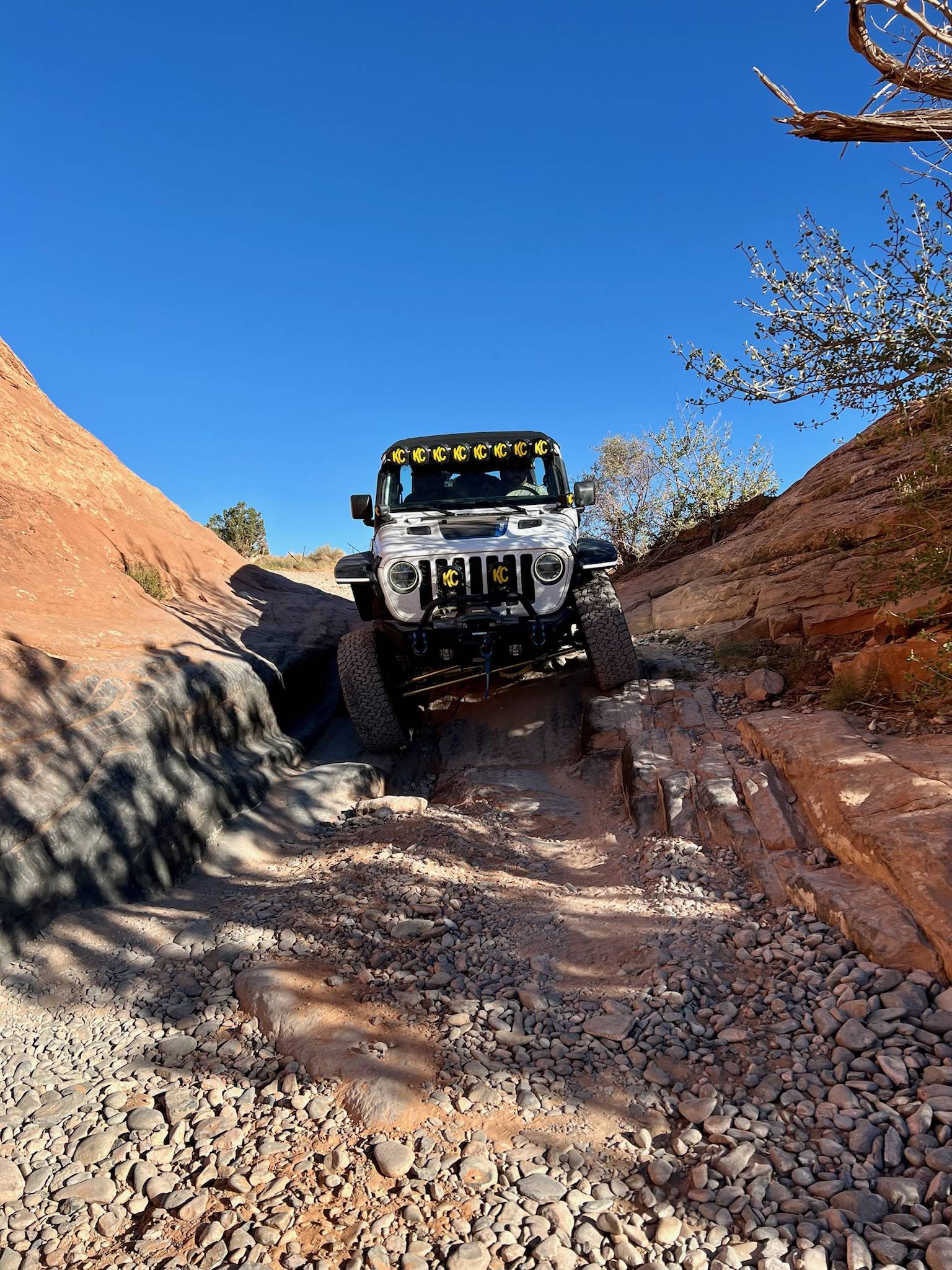 Jeep Wrangler JL 4xe off-roading shots -- post yours! 1DC9A457-D492-4F6A-BB4B-D1F5570C6038