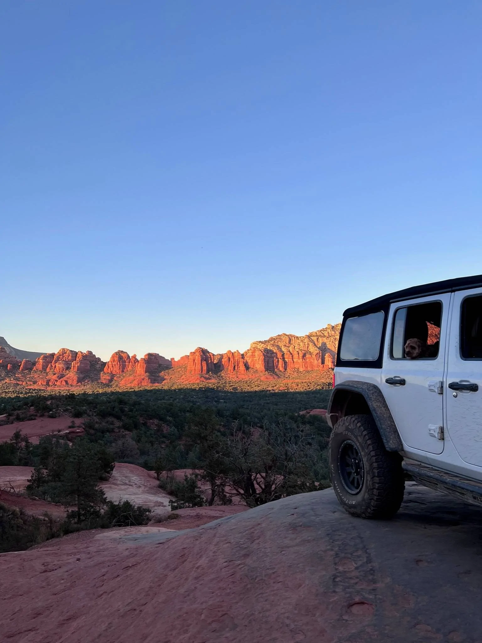 Jeep Wrangler JL 4xe off-roading shots -- post yours! 9916332D-5288-4539-A9B2-C2C2FDD20CCC