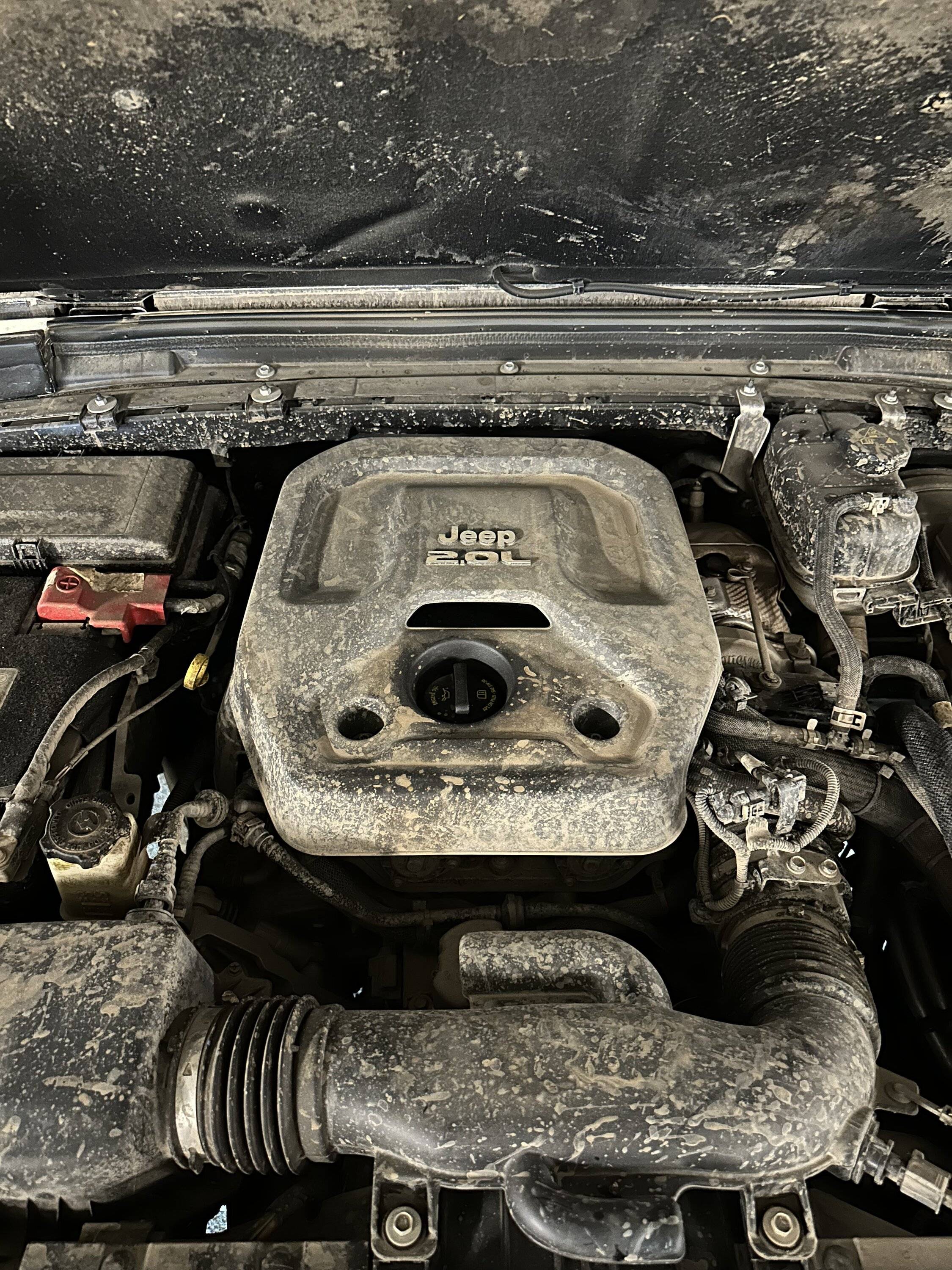 Jeep Wrangler JL How to Clean Under the Hood? IMG_5033