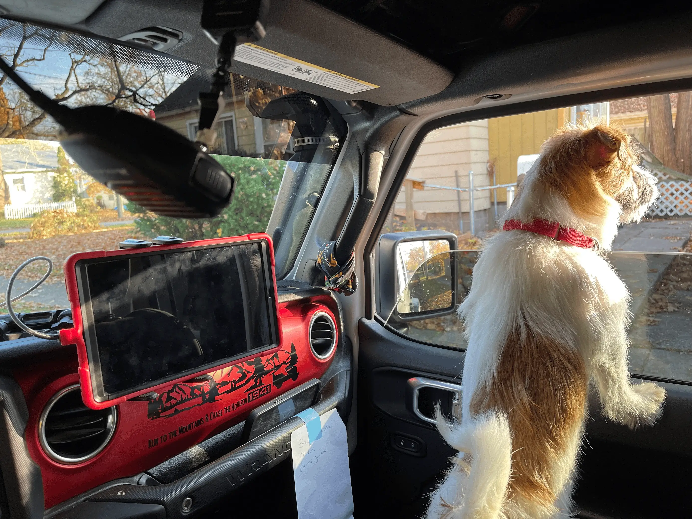 Jeep Wrangler JL Jeep Dog pics 1668251079313