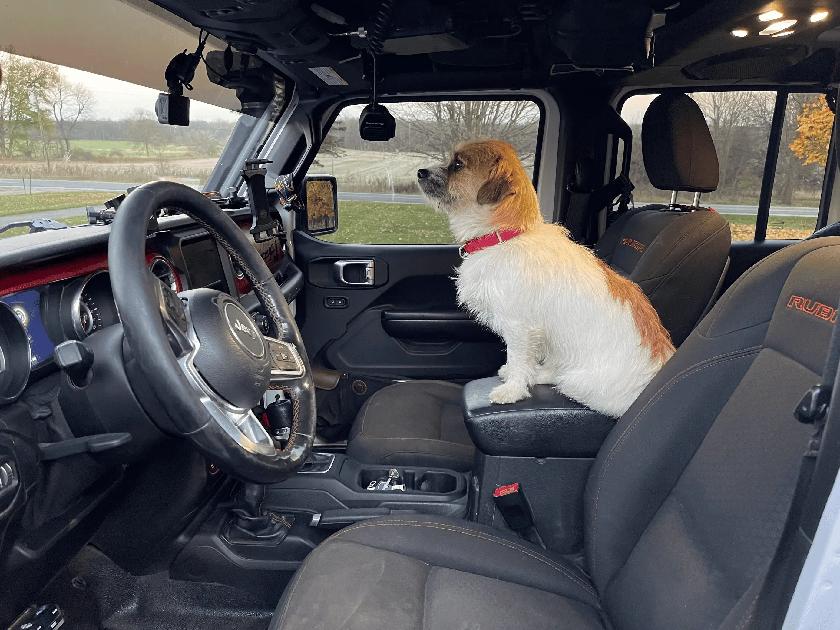 Jeep Wrangler JL Jeep Dog pics 1668251112985