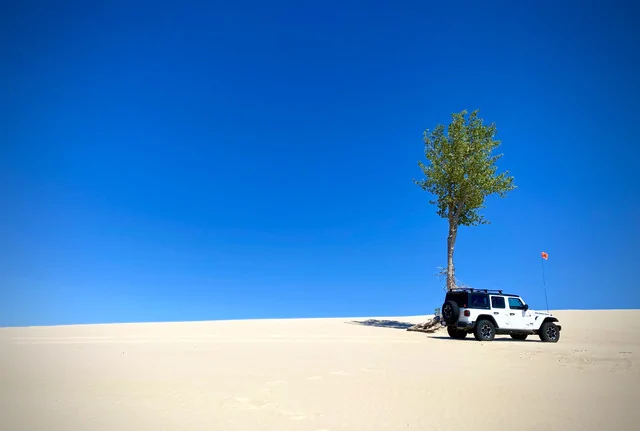 Jeep Wrangler JL 4xe off-roading shots -- post yours! 660-F1-E29-FF46-48-BE-89-C2-C218766-DD0-D0