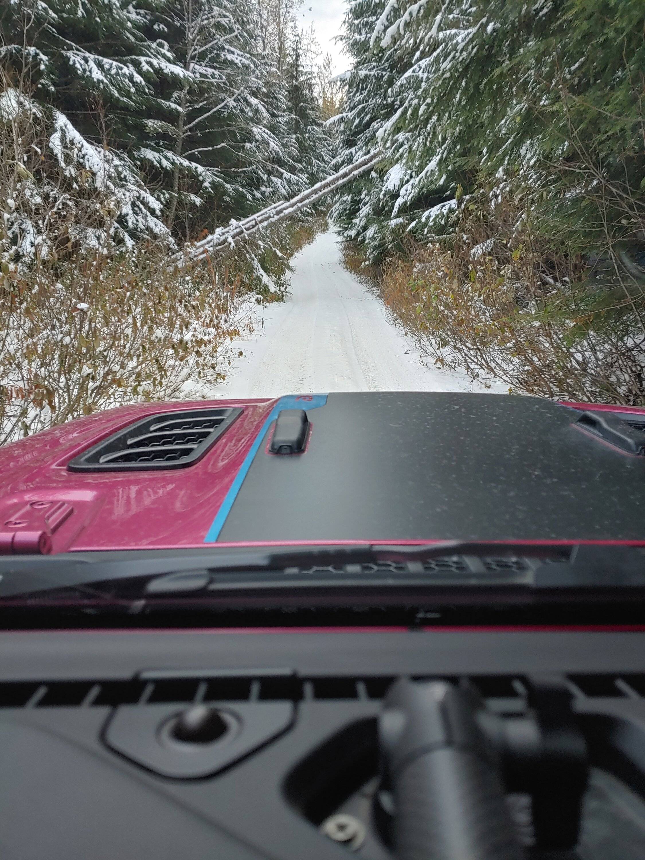Jeep Wrangler JL Paint colors not available?? 20221111_1533002196056590429278262_large