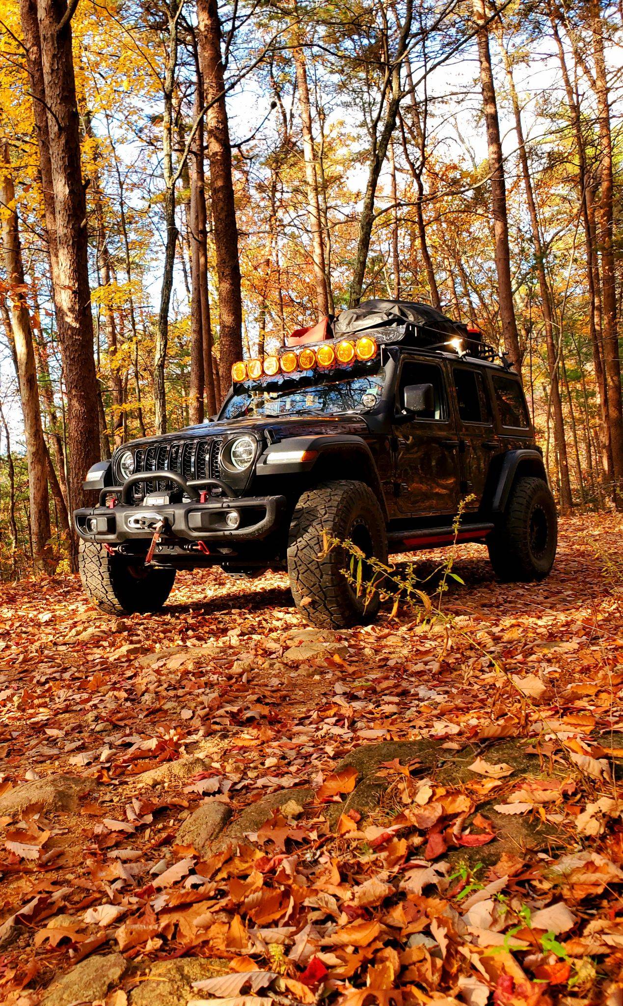 Jeep Wrangler JL Space trailers Resized_20221103_163312(1)