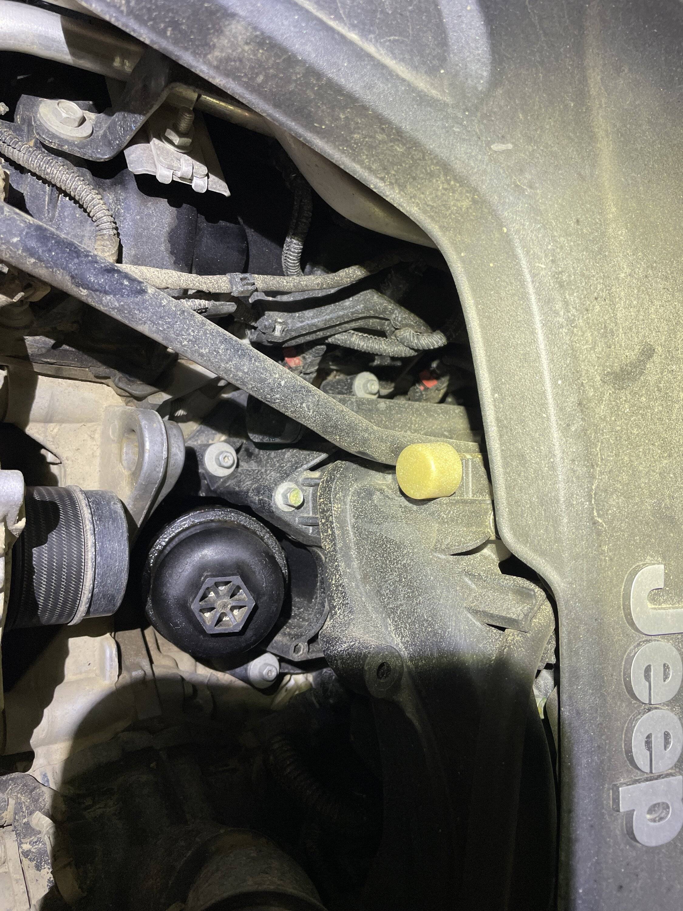 Jeep Wrangler JL Oil leak 348DB7B8-0CC4-4F06-BF5C-F84E291F2A51