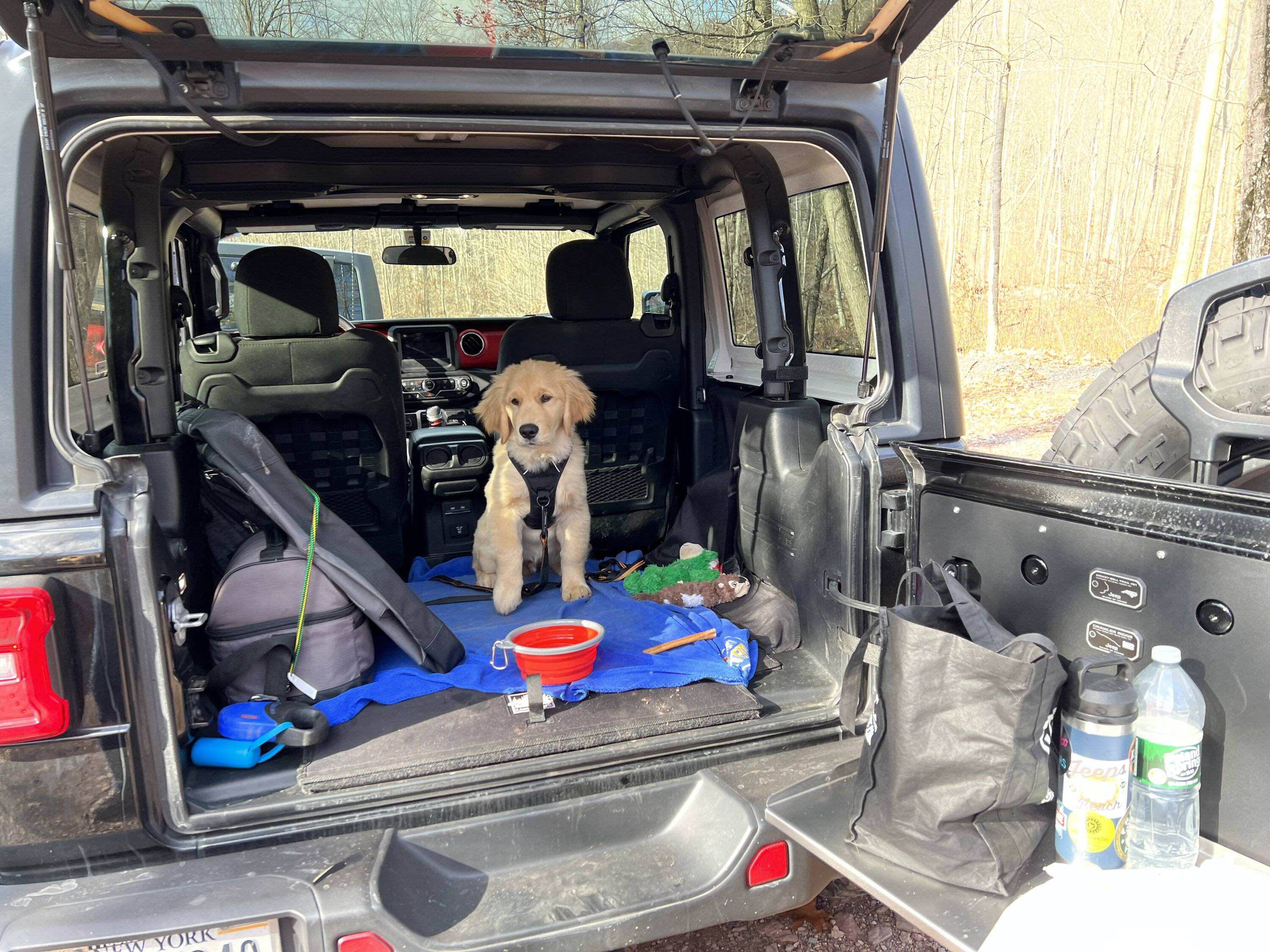 Jeep Wrangler JL Show off your Tailgate Tables! 19660ACF-1755-4F5A-8E17-5E2FD8D6BF4A