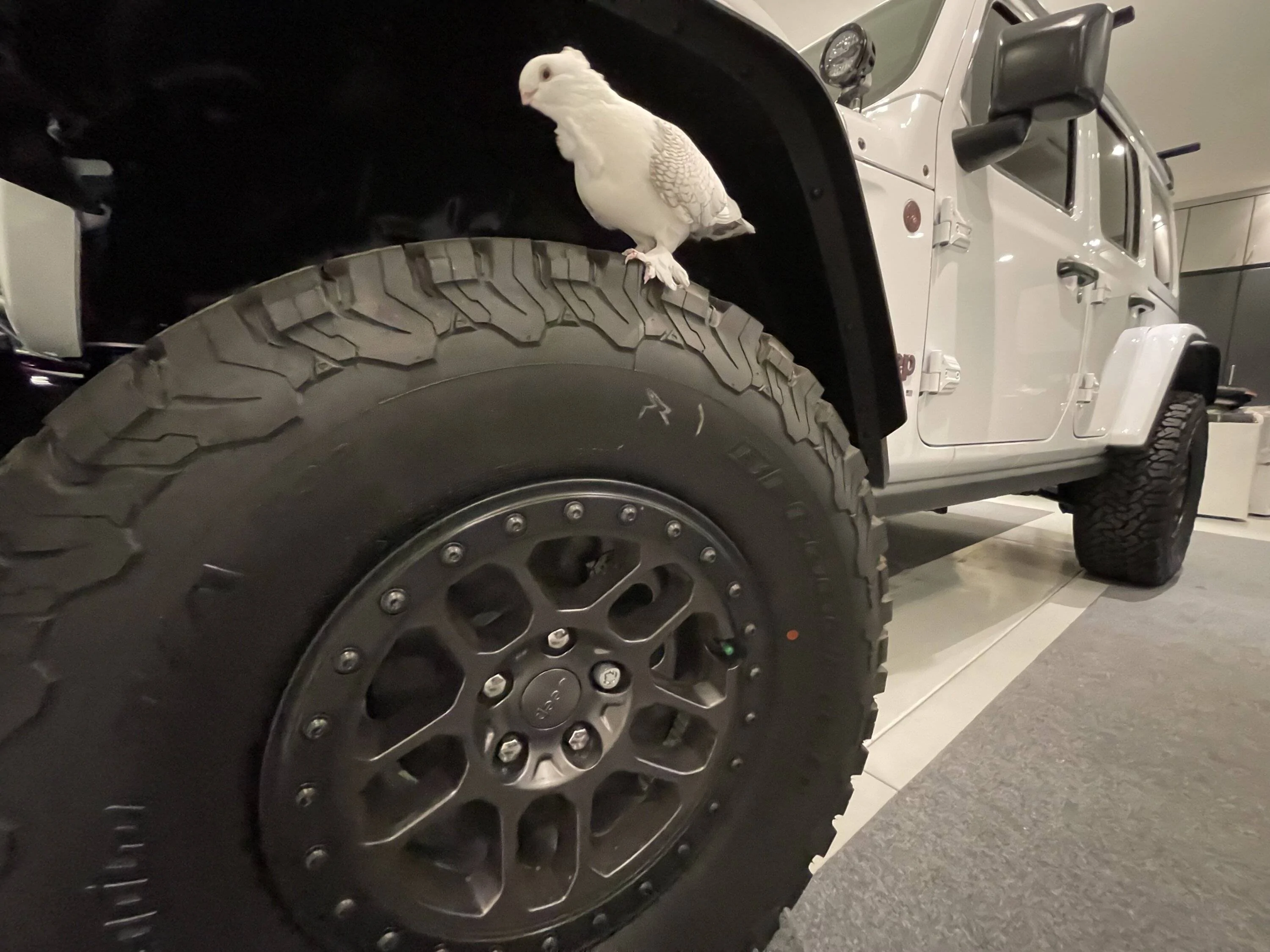 Jeep Wrangler JL Black Gorilla Lug Nuts IMG_2420