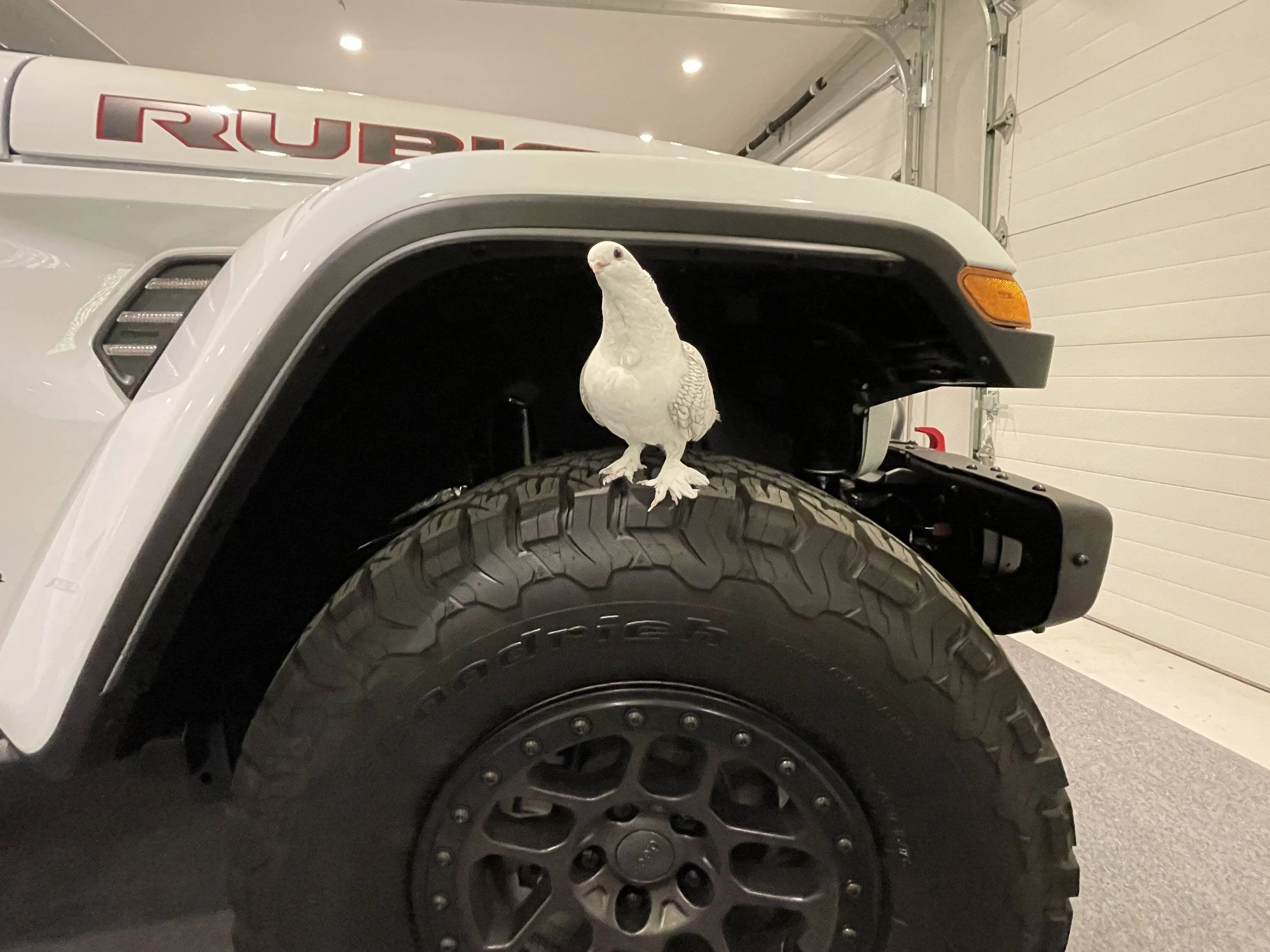 Jeep Wrangler JL Black Gorilla Lug Nuts IMG_2412